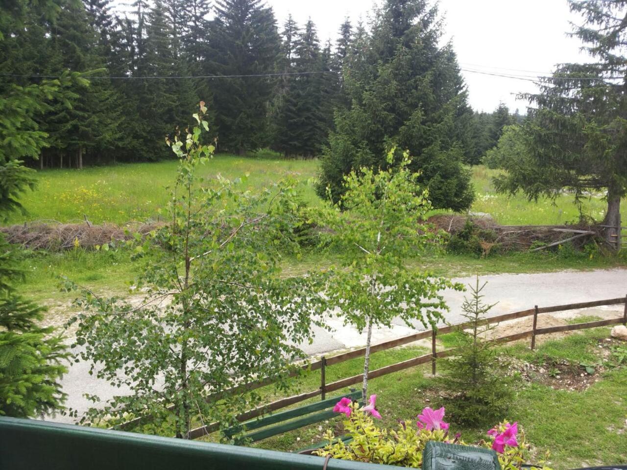 Photo 8