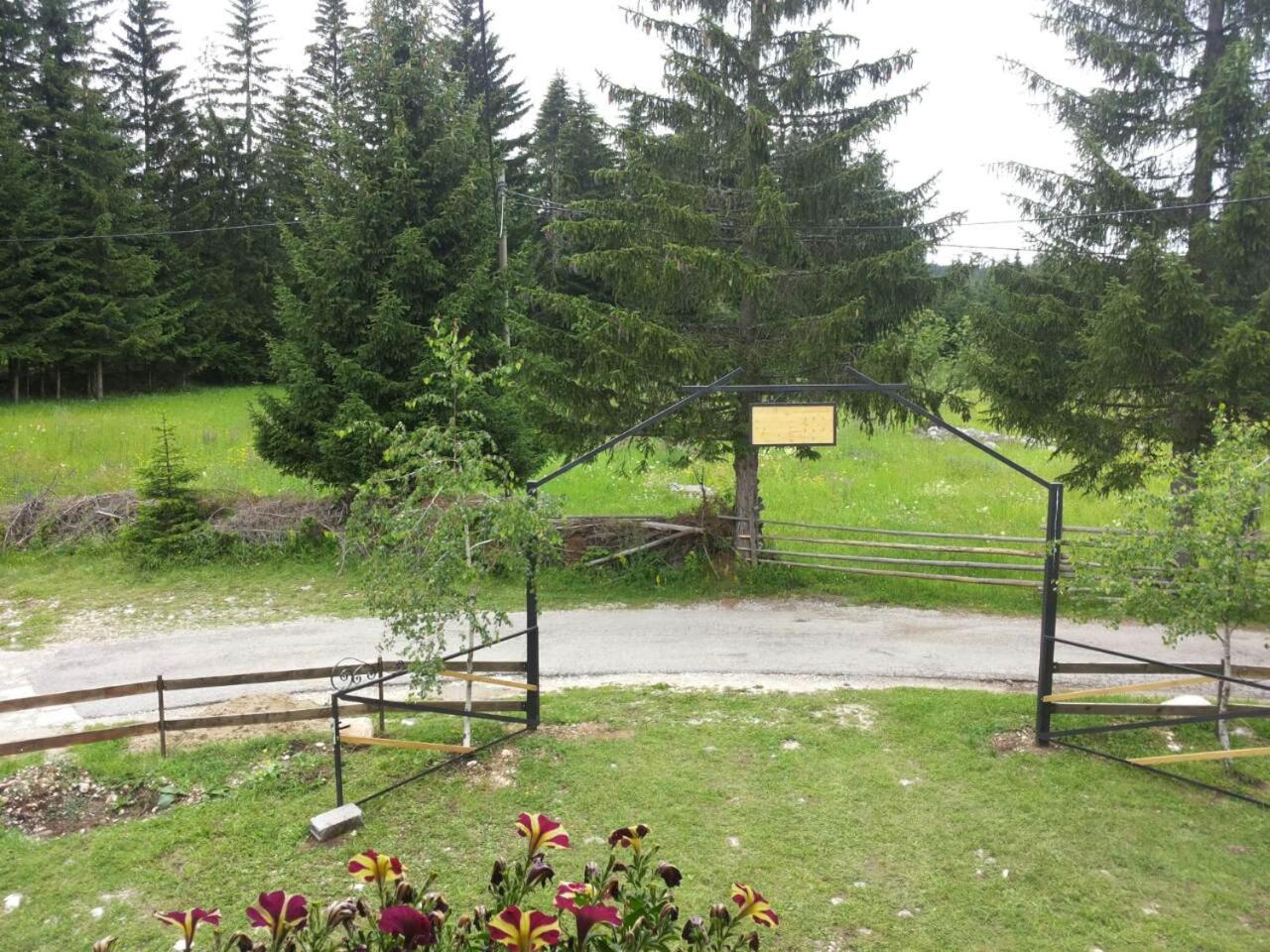 Photo 45