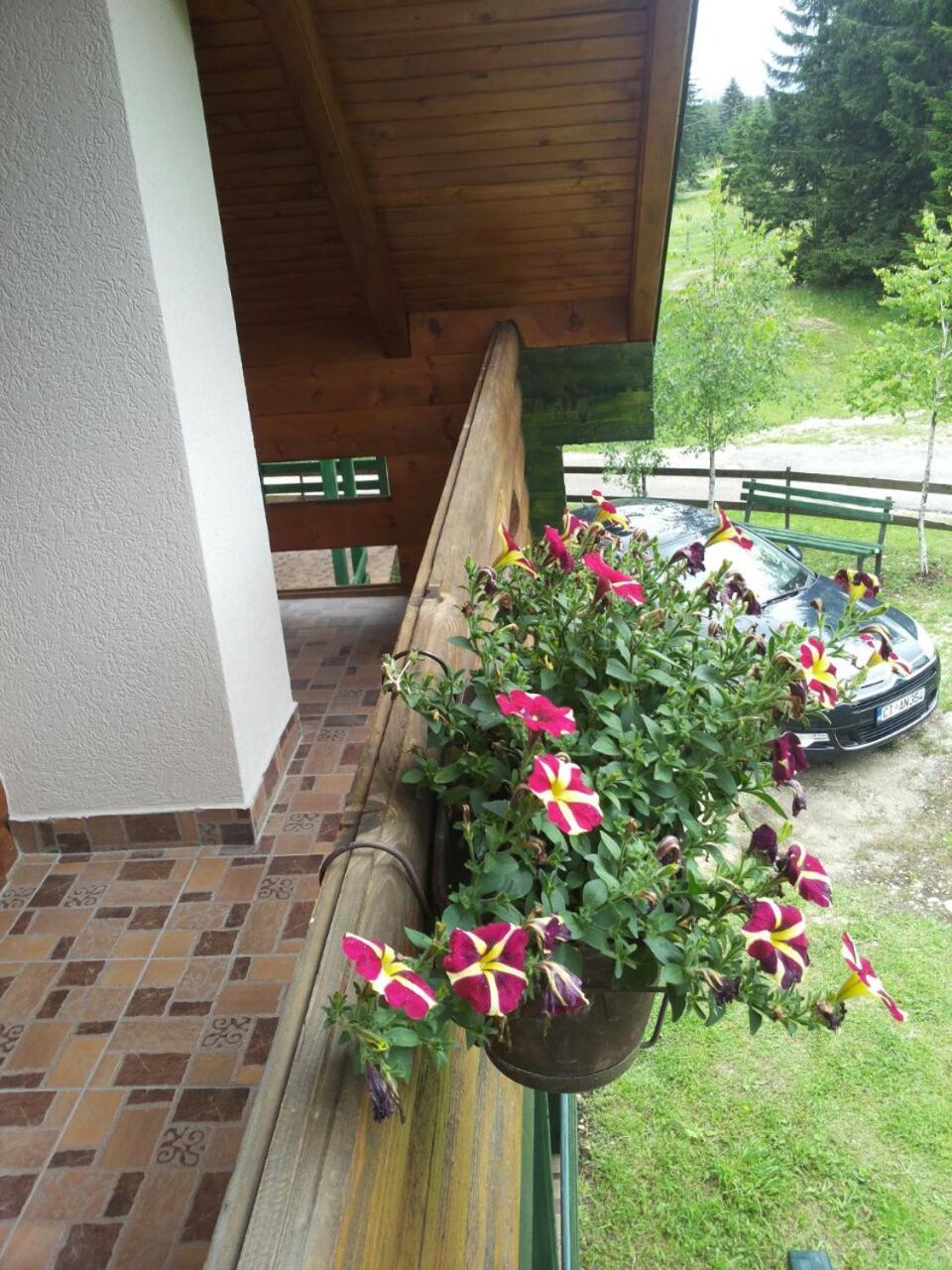Photo 44