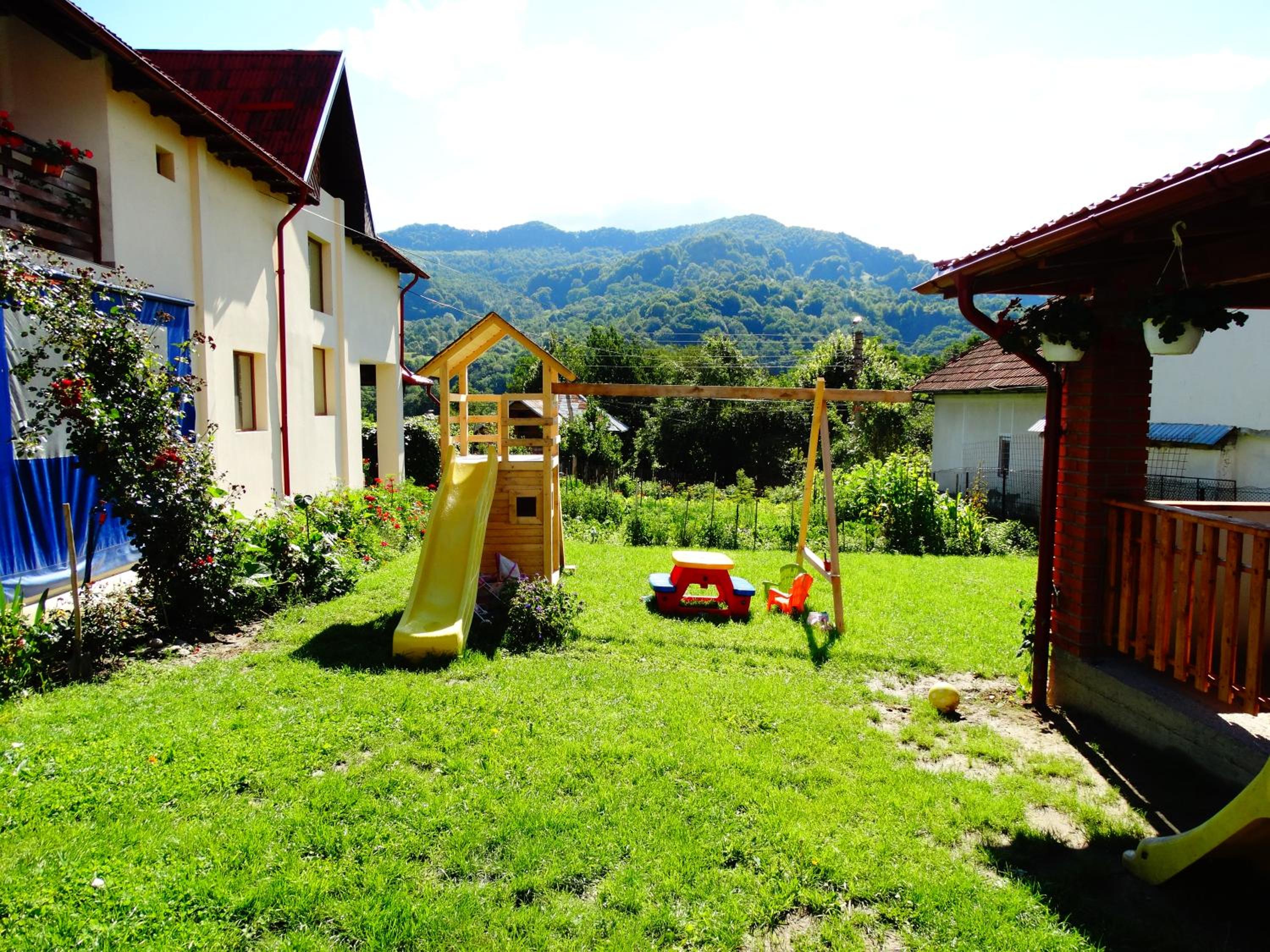Photo 12