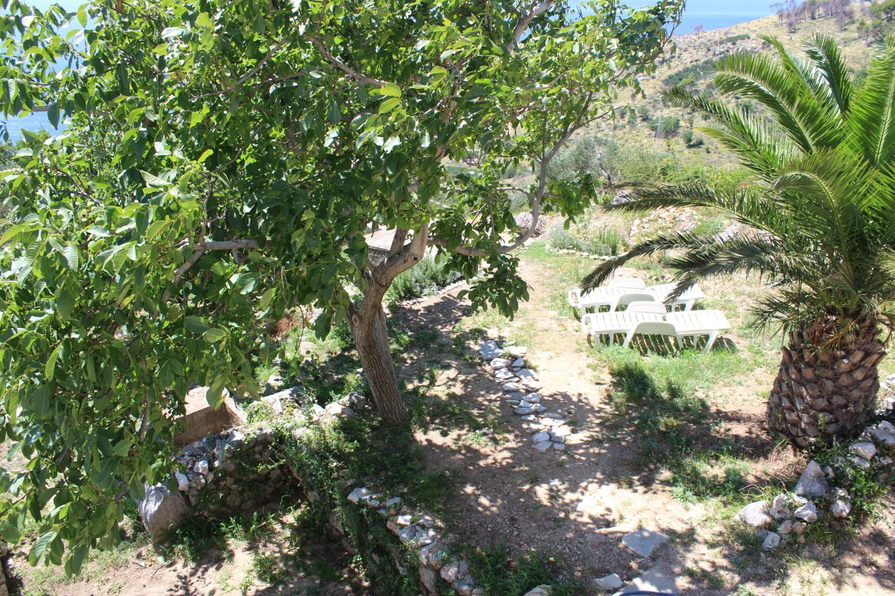 Photo 35
