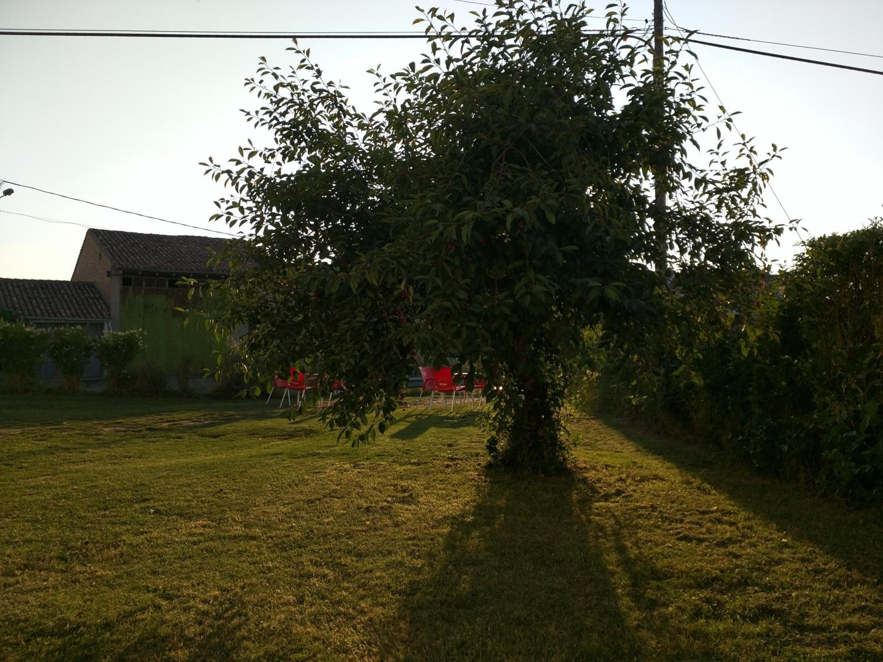 Photo 11