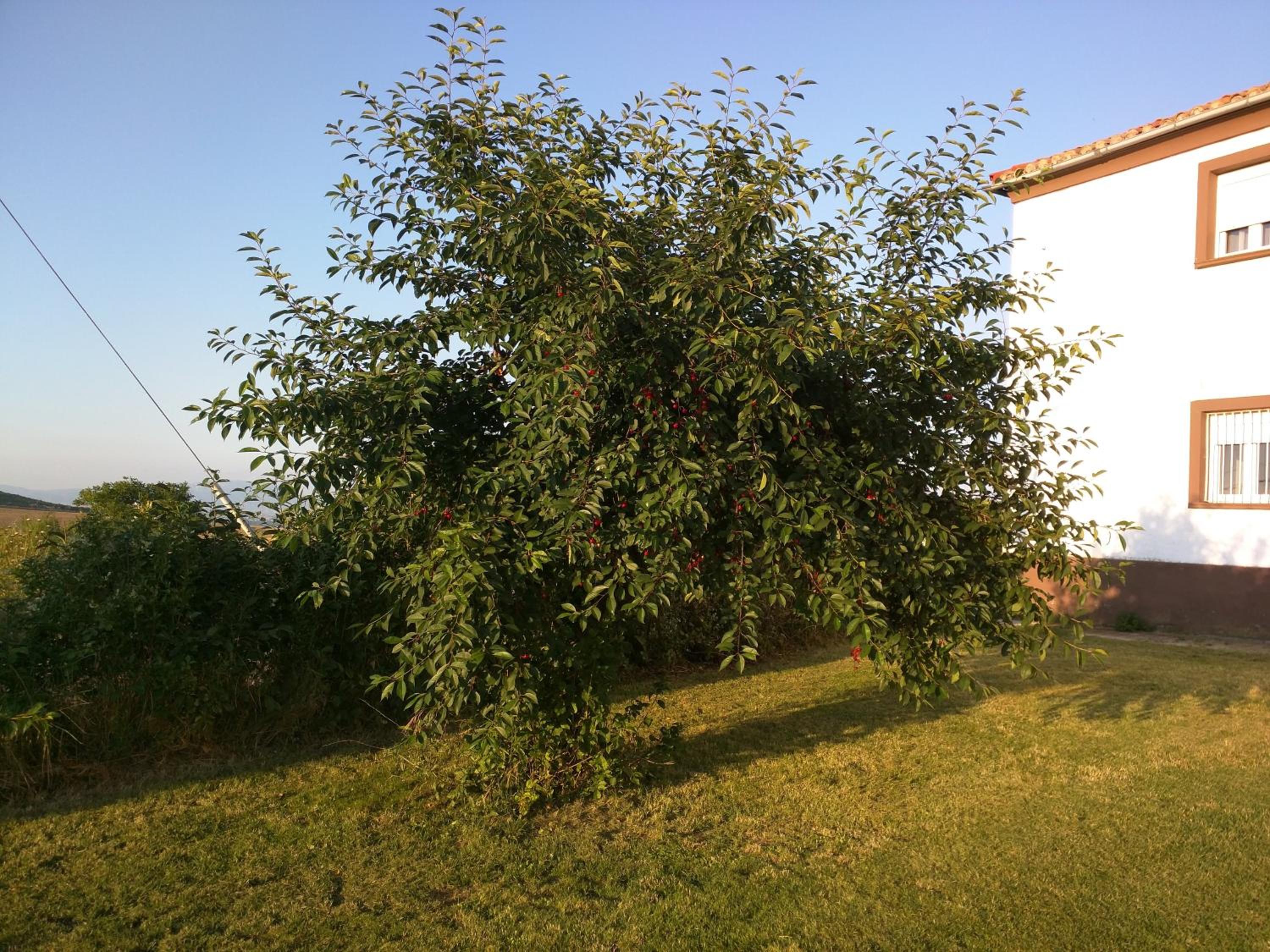 Photo 17
