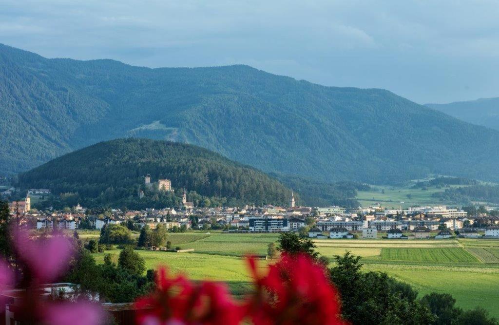 Haus Aron view 3