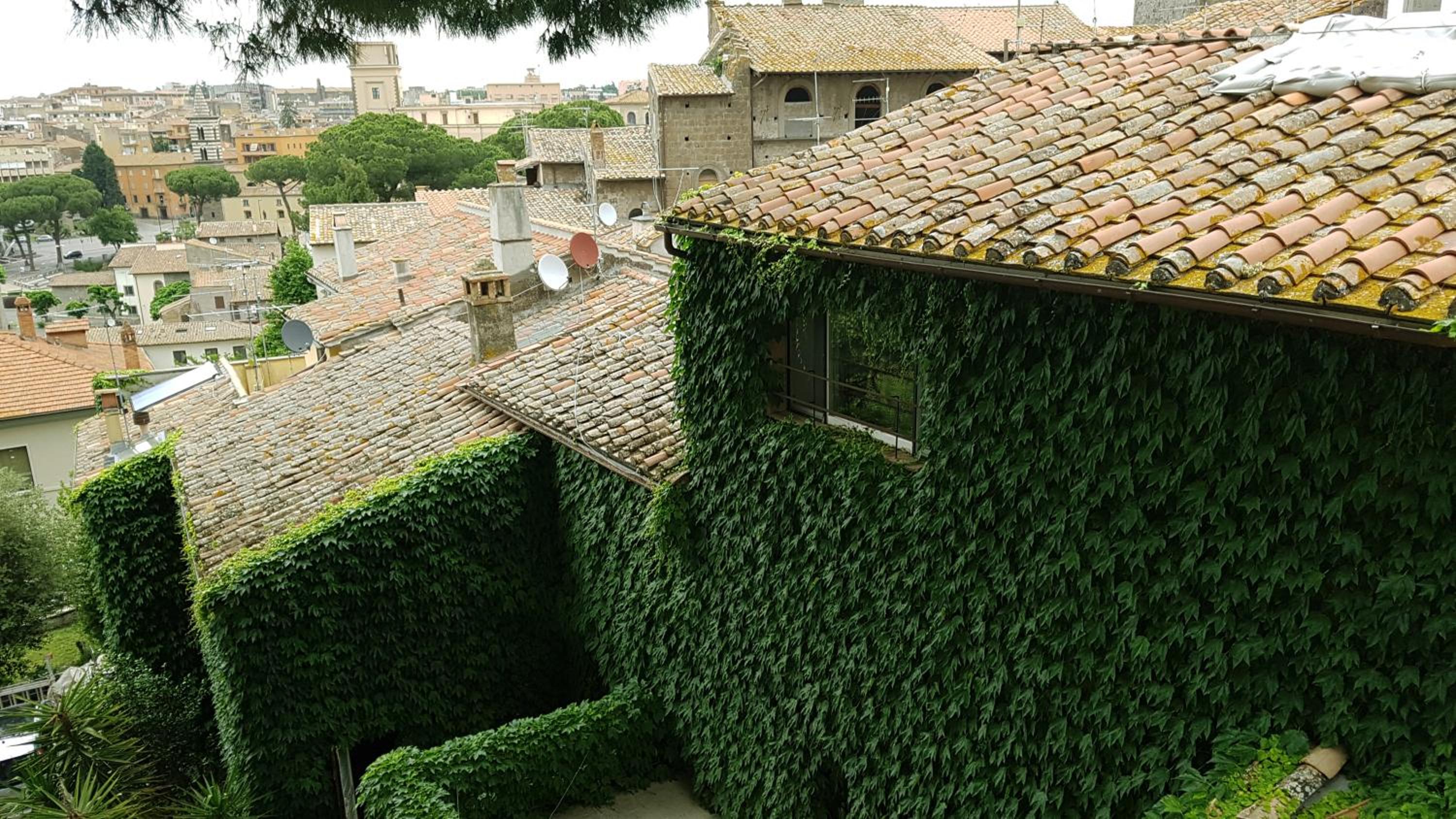 B&B A Piazza del Gesù view 4