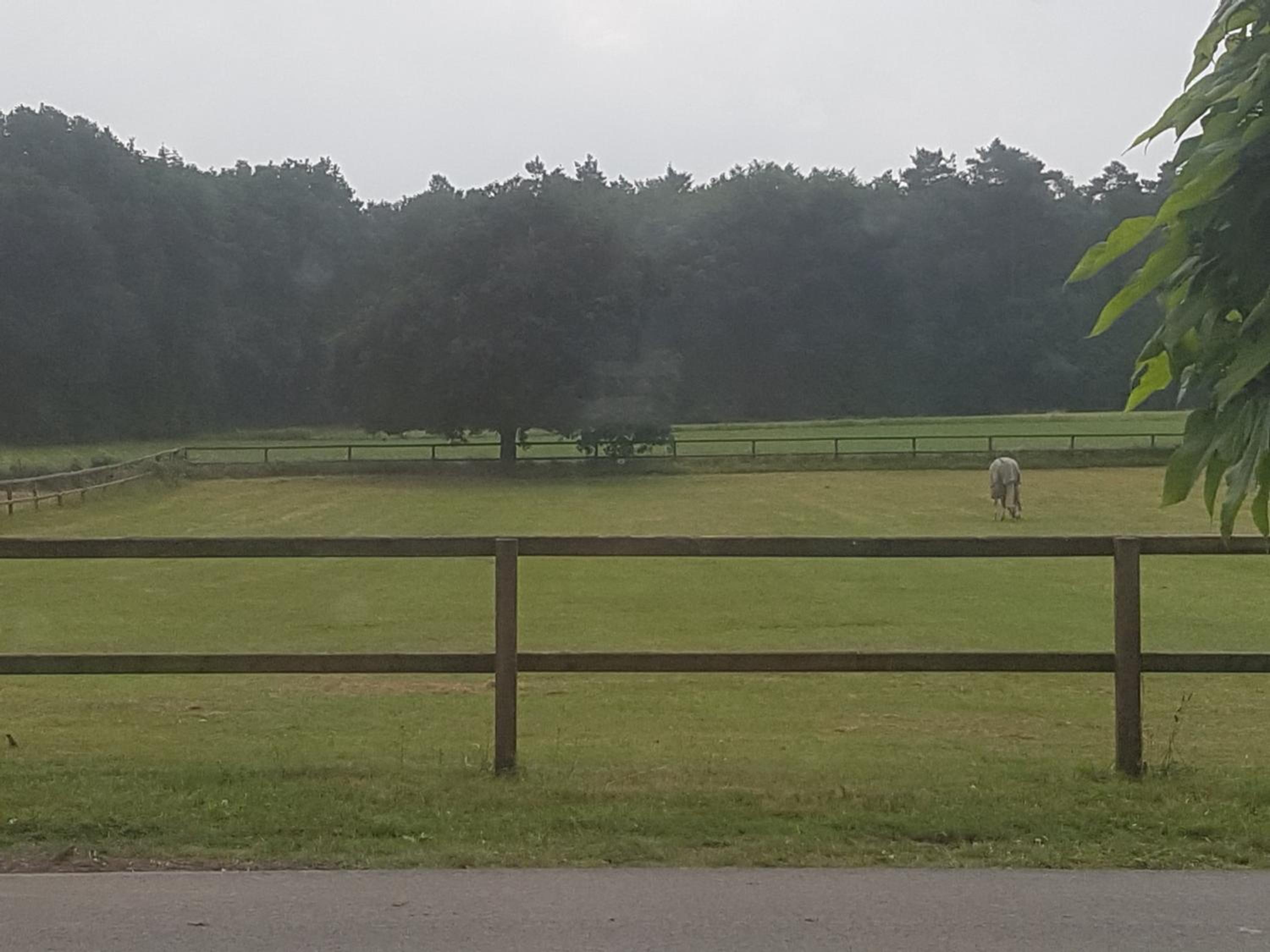 B&B Het Bakhuis view 3