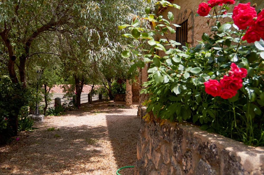 Casas rurales amable- yeste