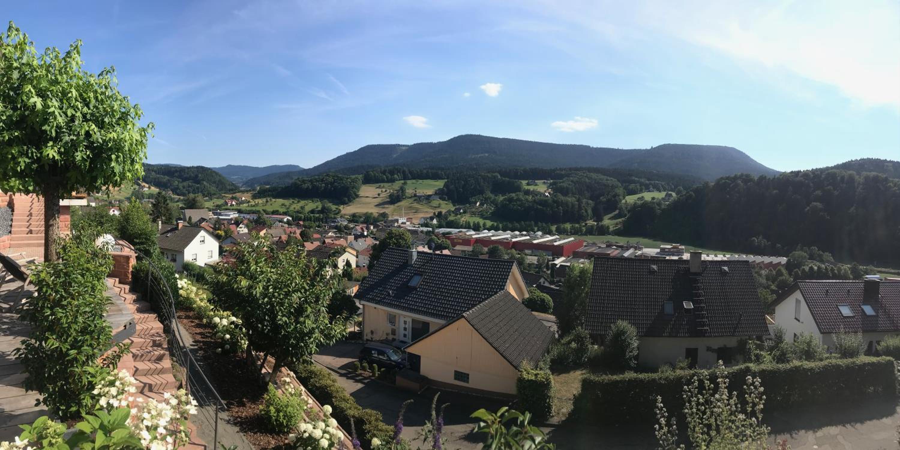 Schwarzwald Lodge Oppenau view 3