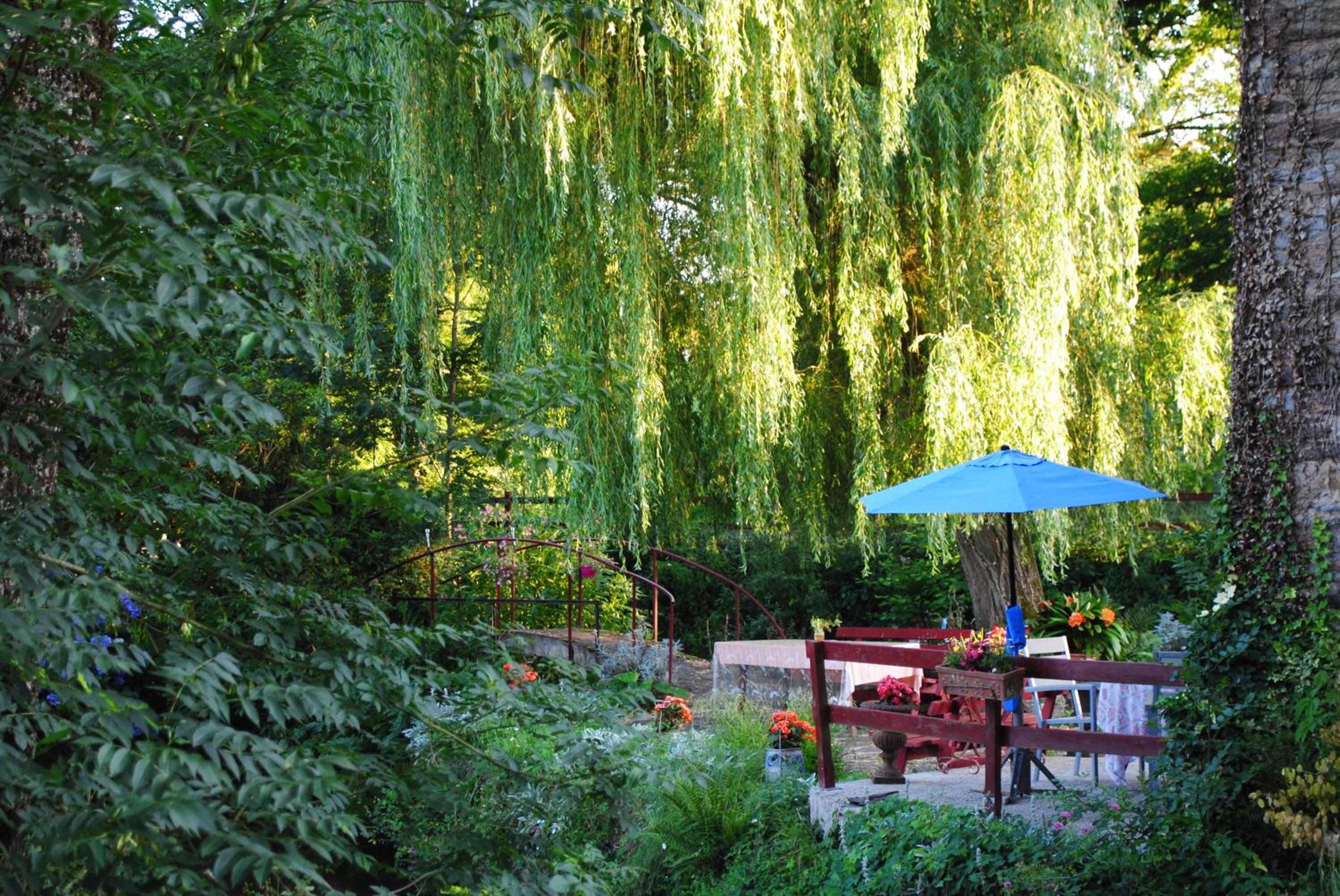 Le Moulin du Bignon view 3