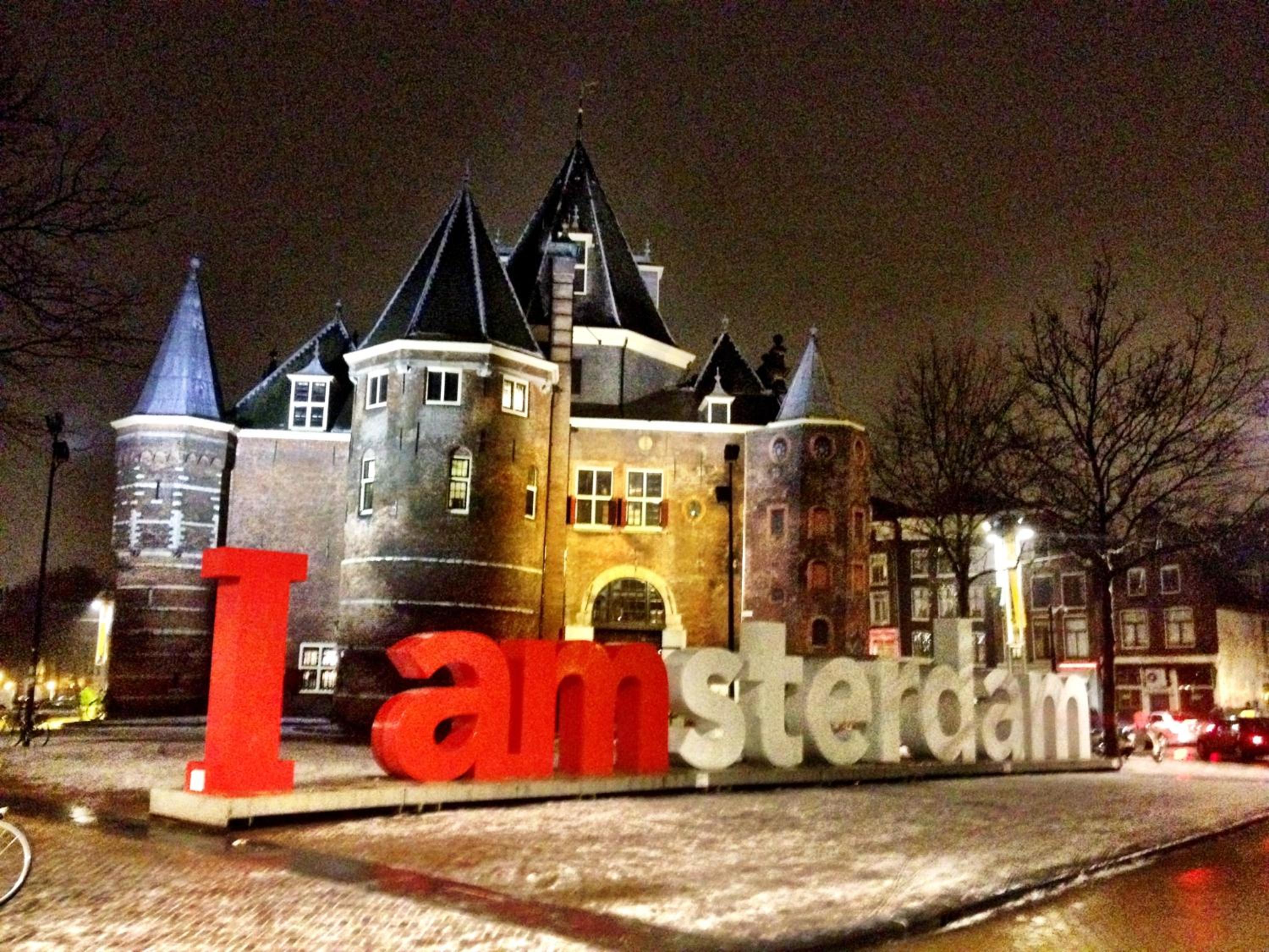 Tulip of Amsterdam