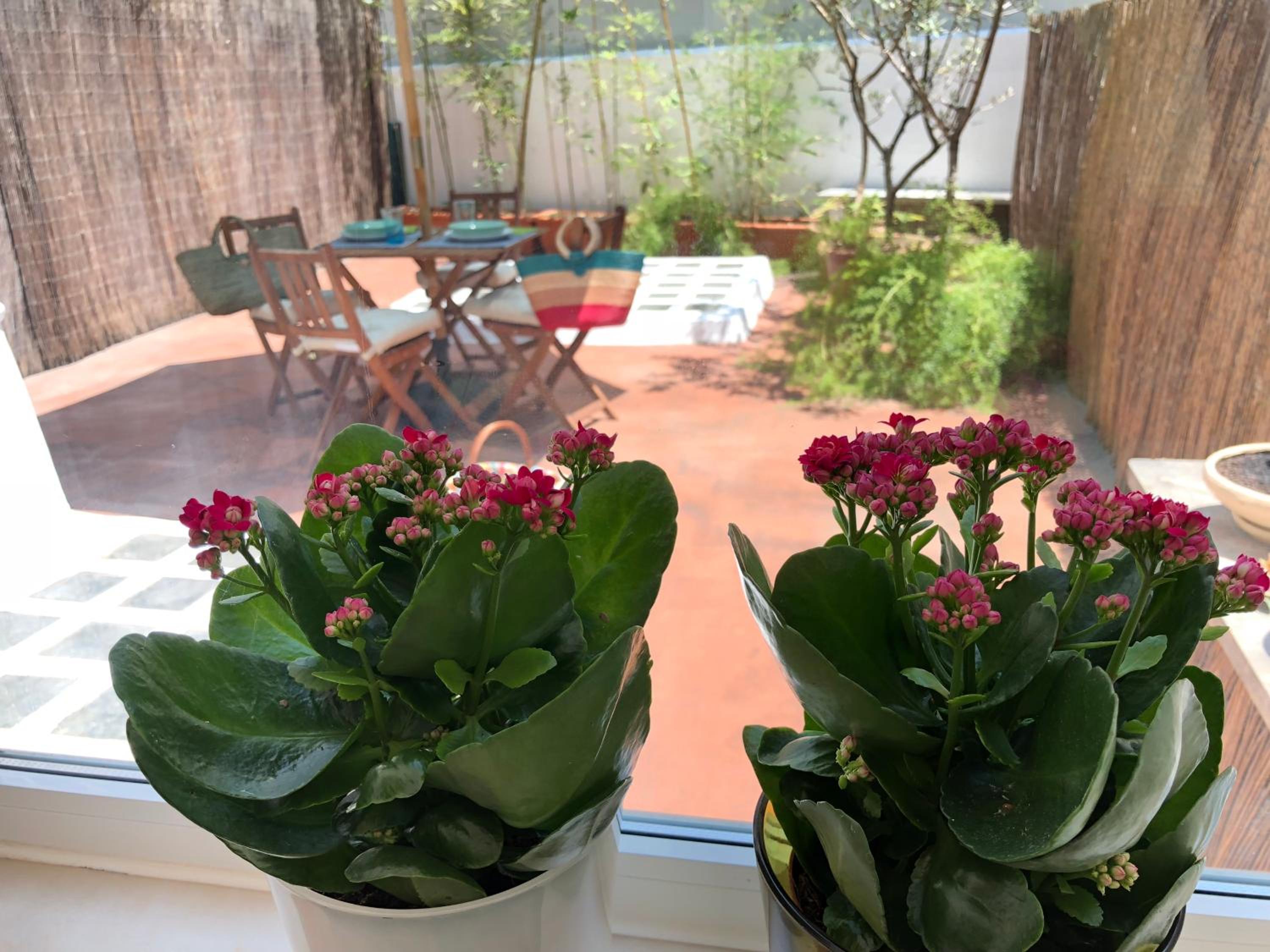 Arroios BnB view 3