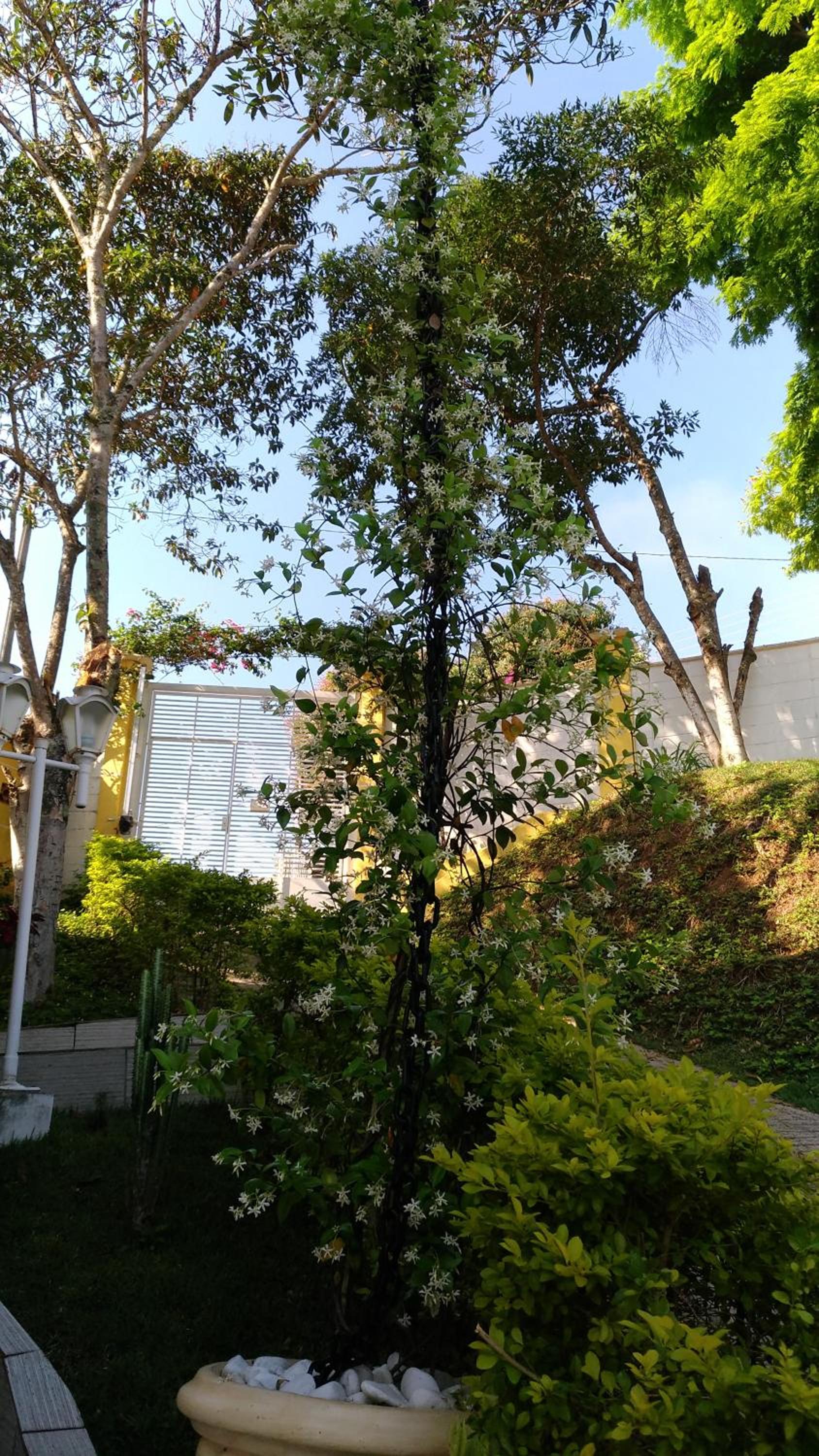 Chacara Sobrado Igarata