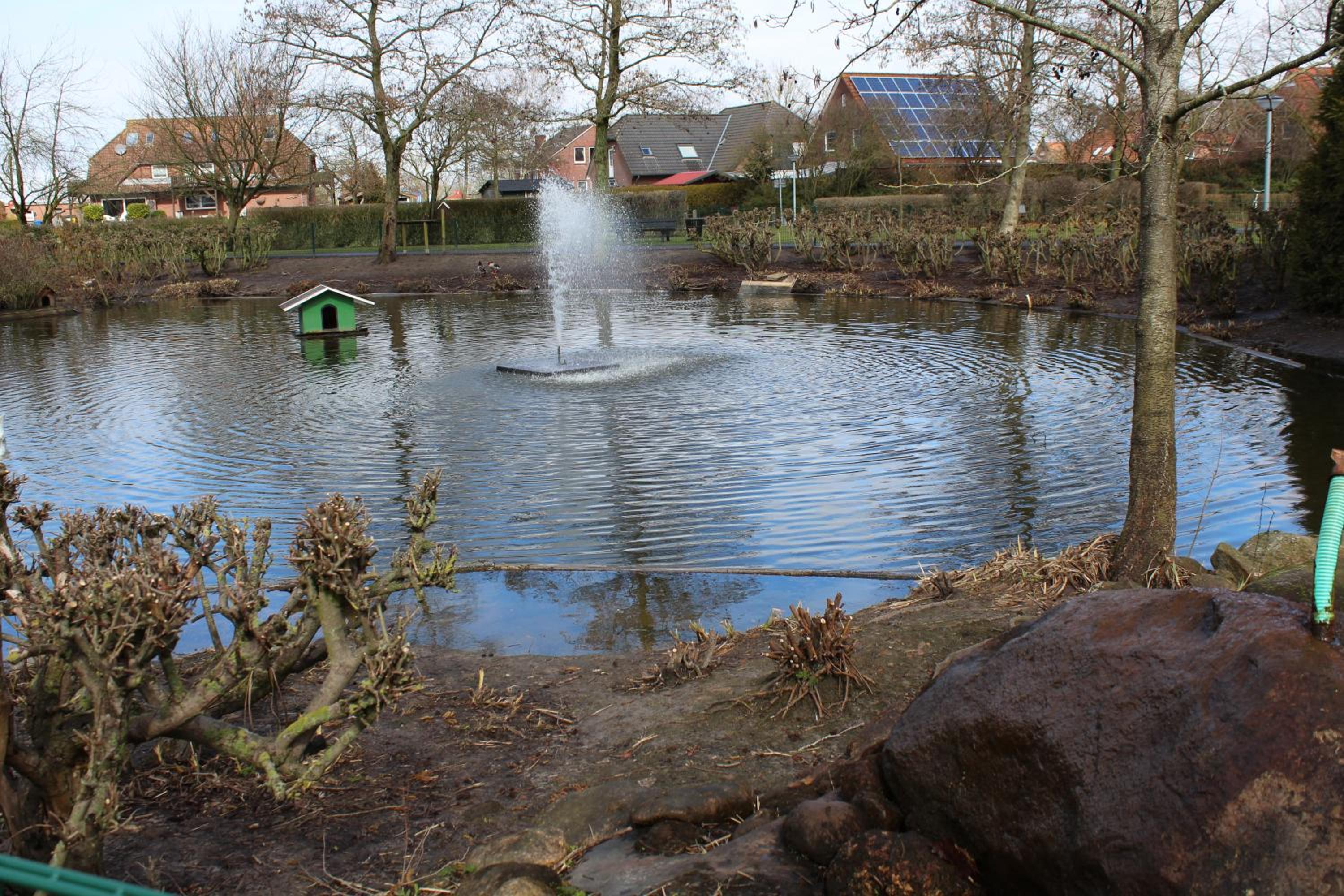 Photo 13