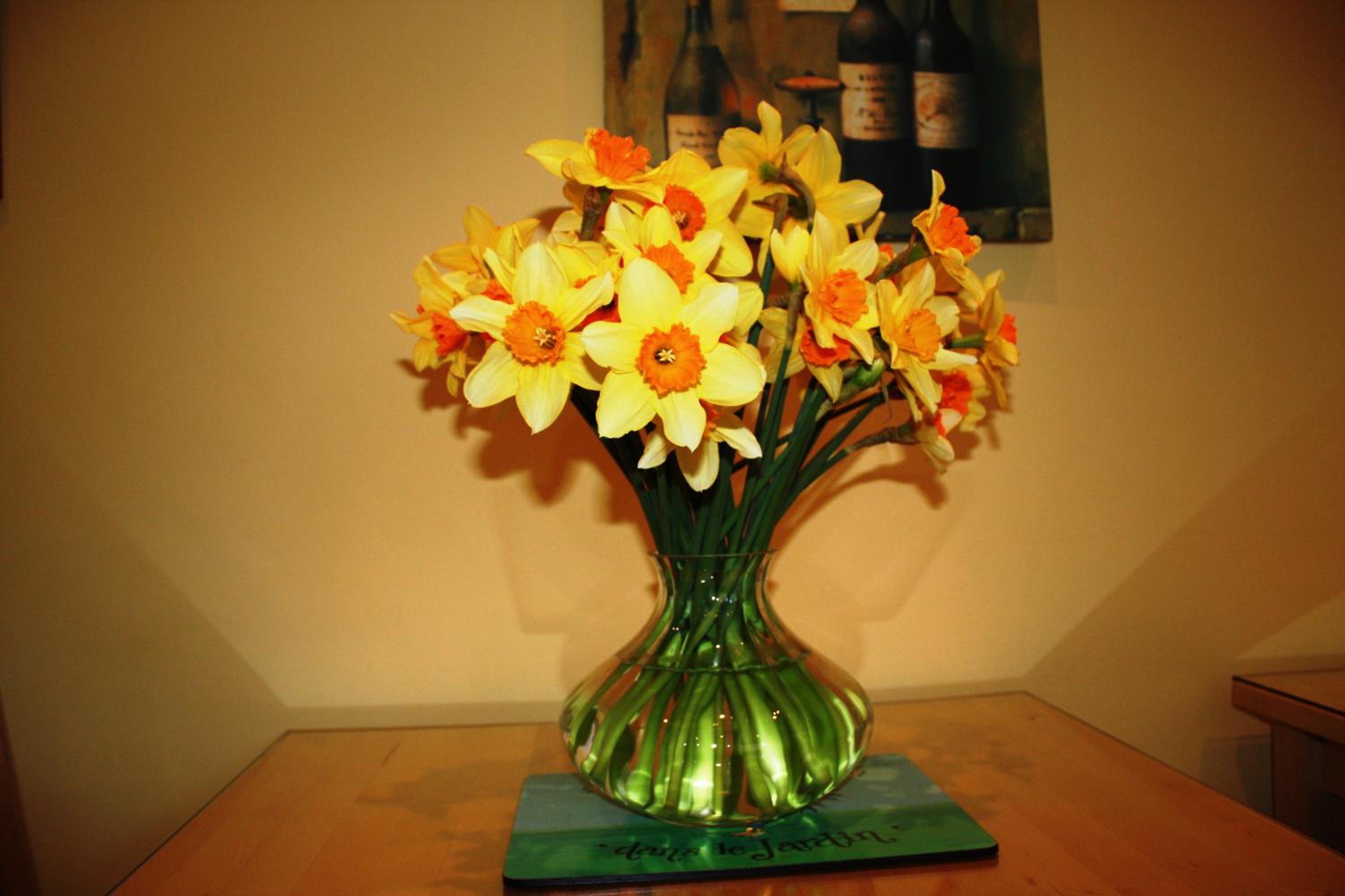 Photo 31