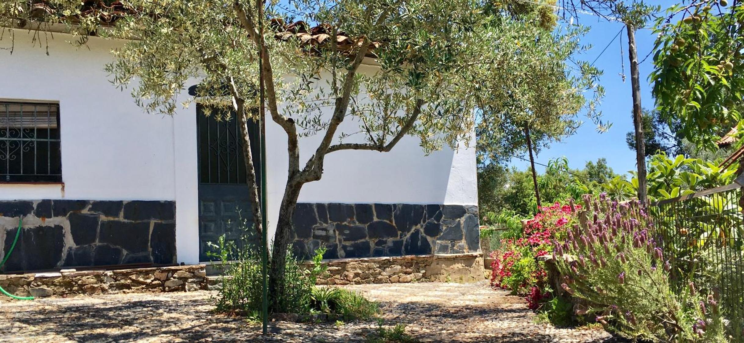 Casa Papiqui