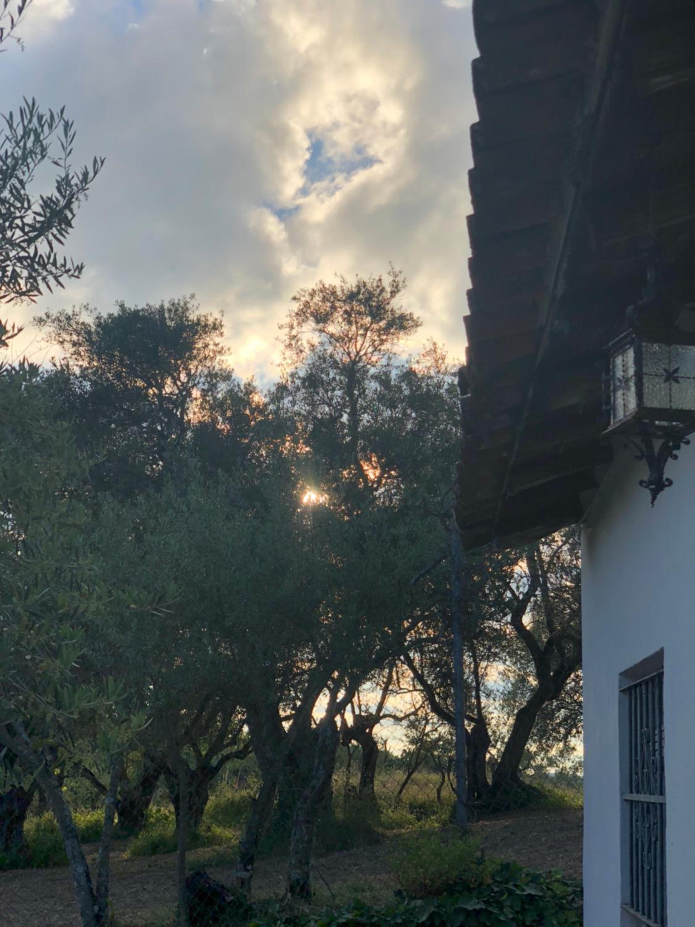 Casa Papiqui