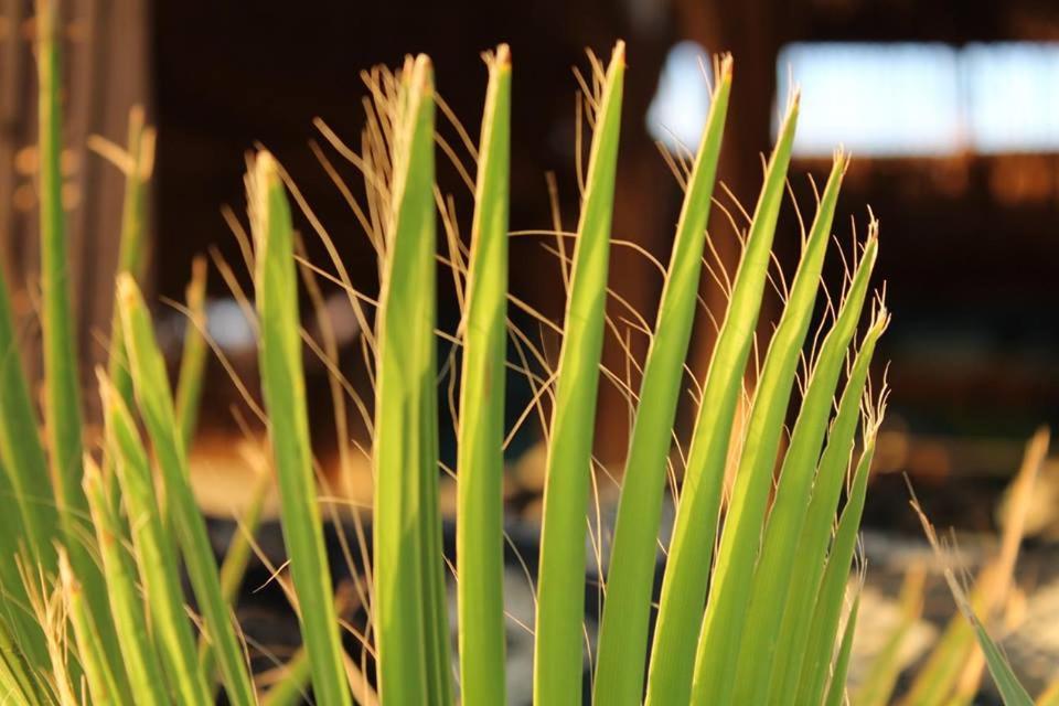 Photo 22