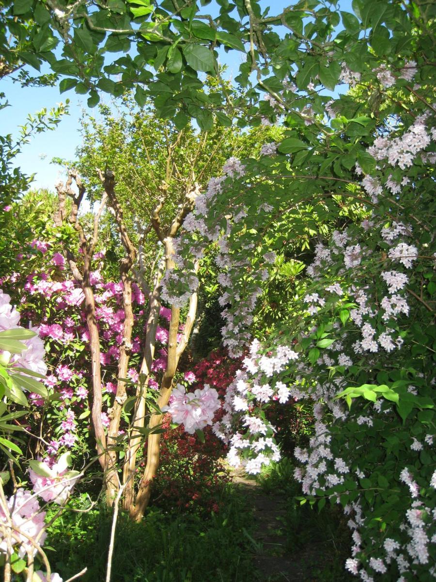 Photo 22