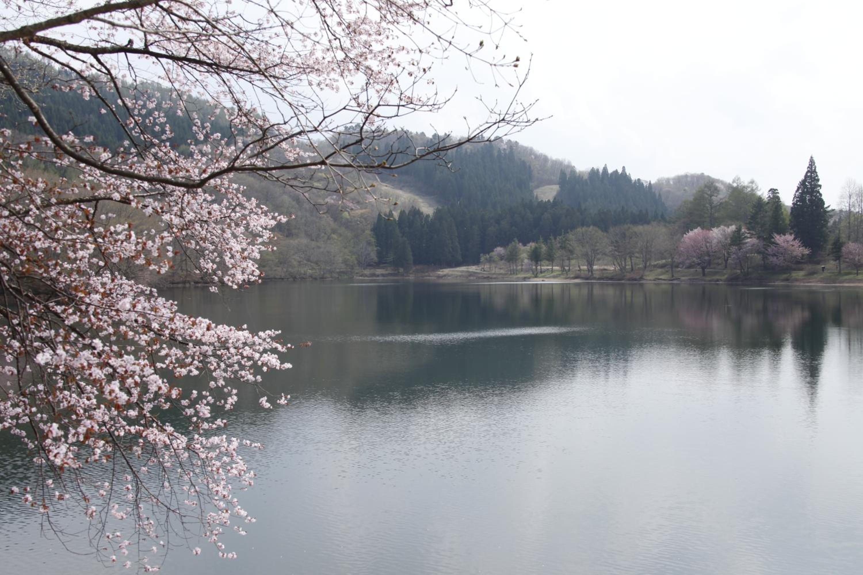 Matsukaneya Annex