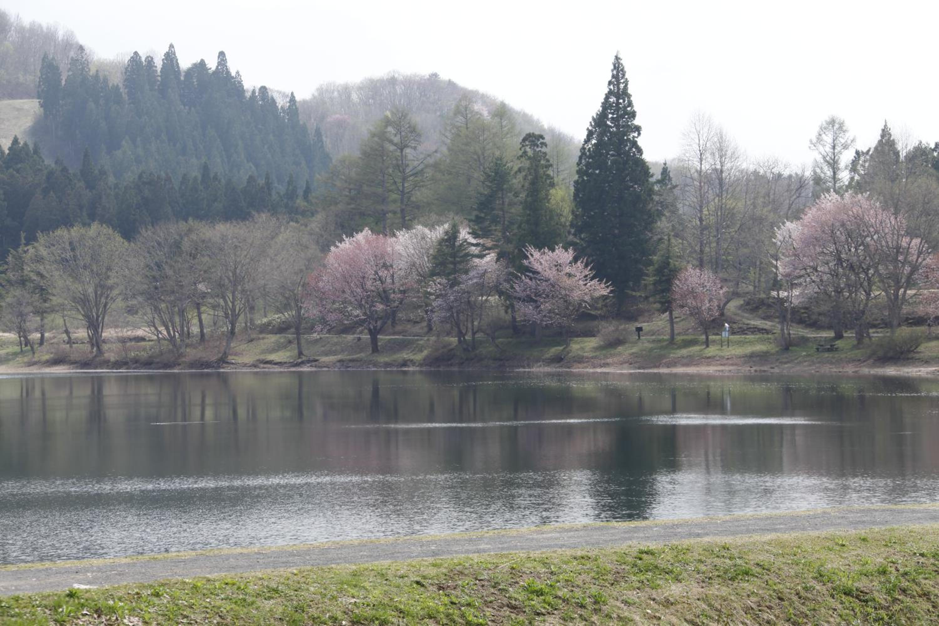 Matsukaneya Annex