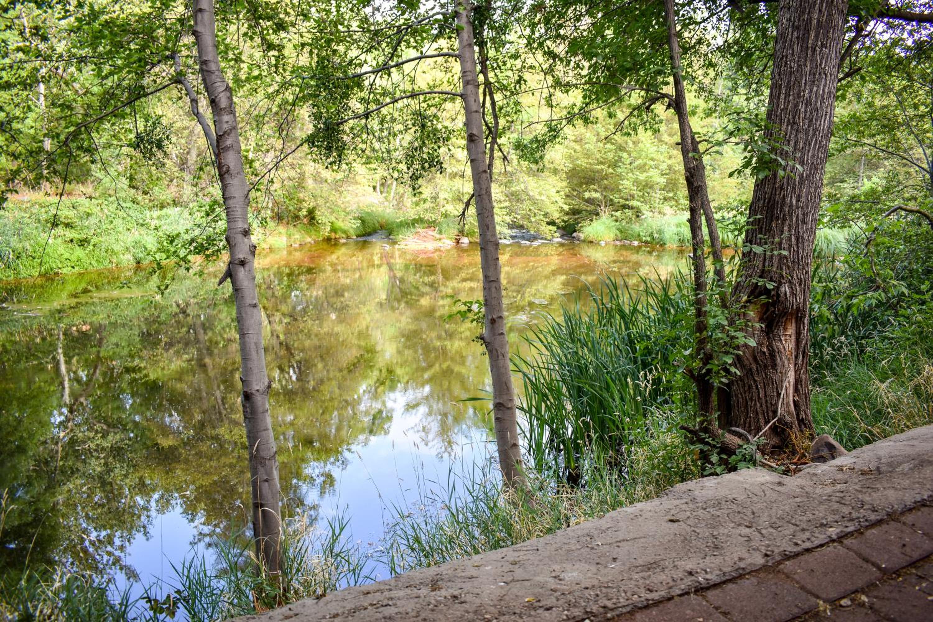 Sedona Vacations - Cedars Resort - Property Image 8