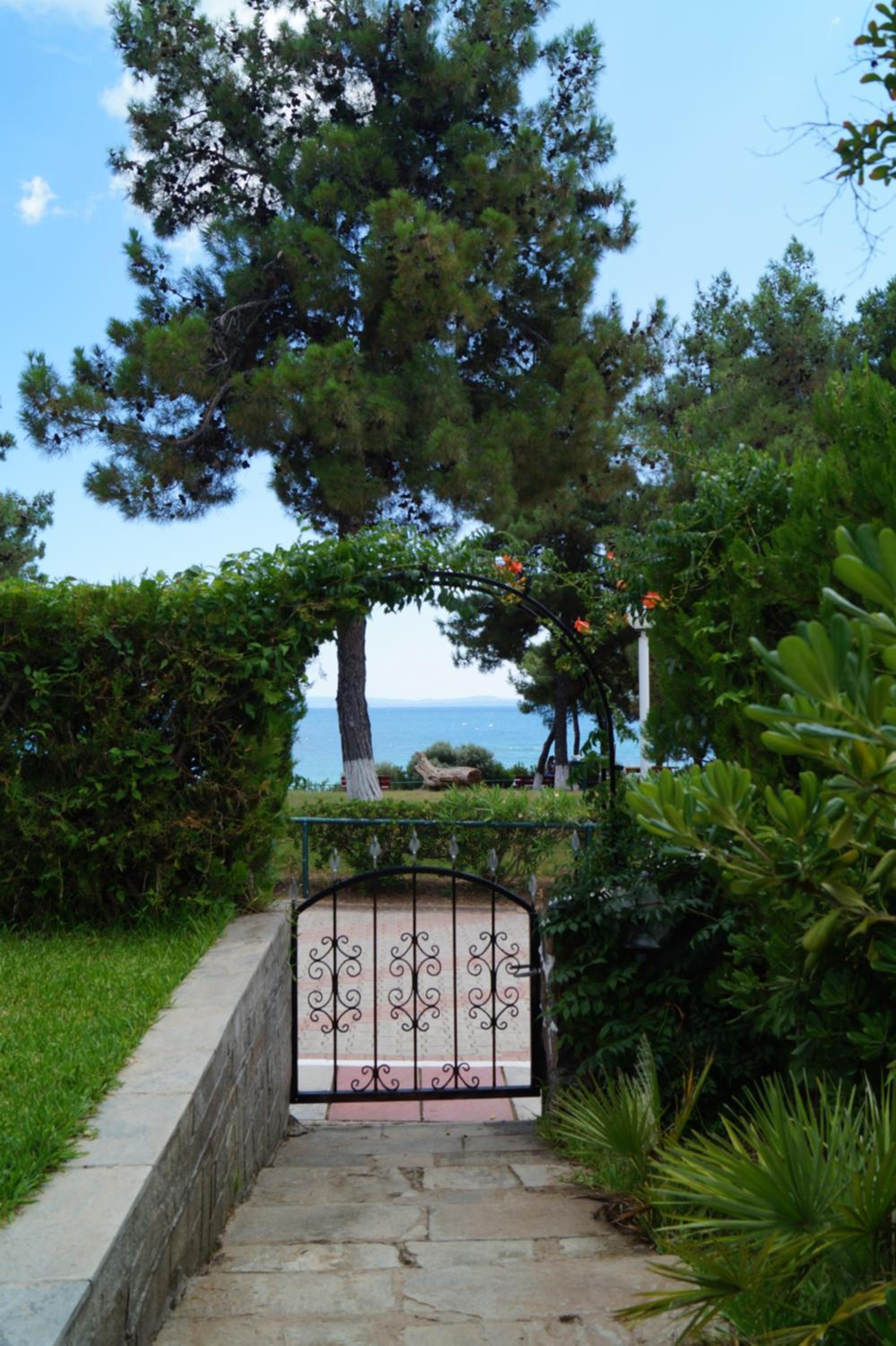 Photo 14