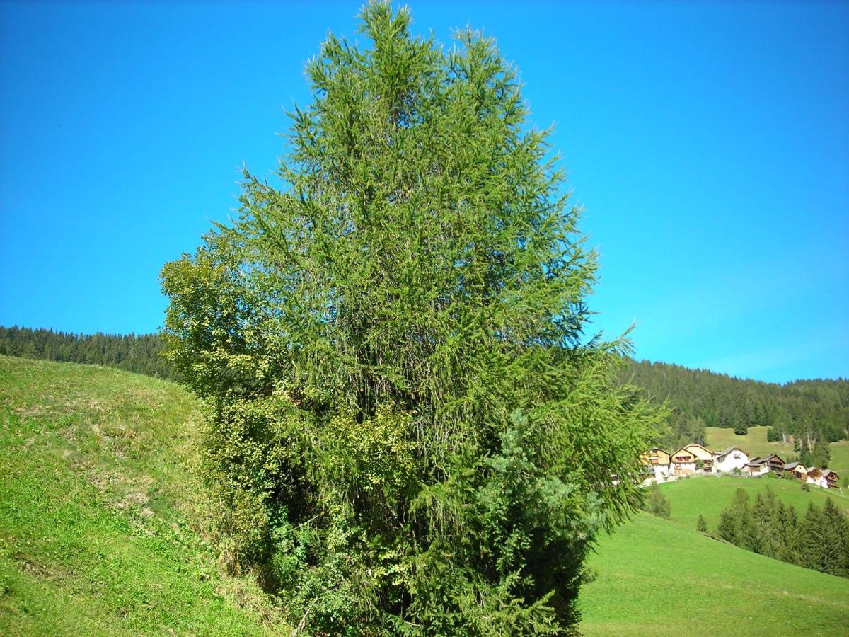 Casa Gogn photo 2