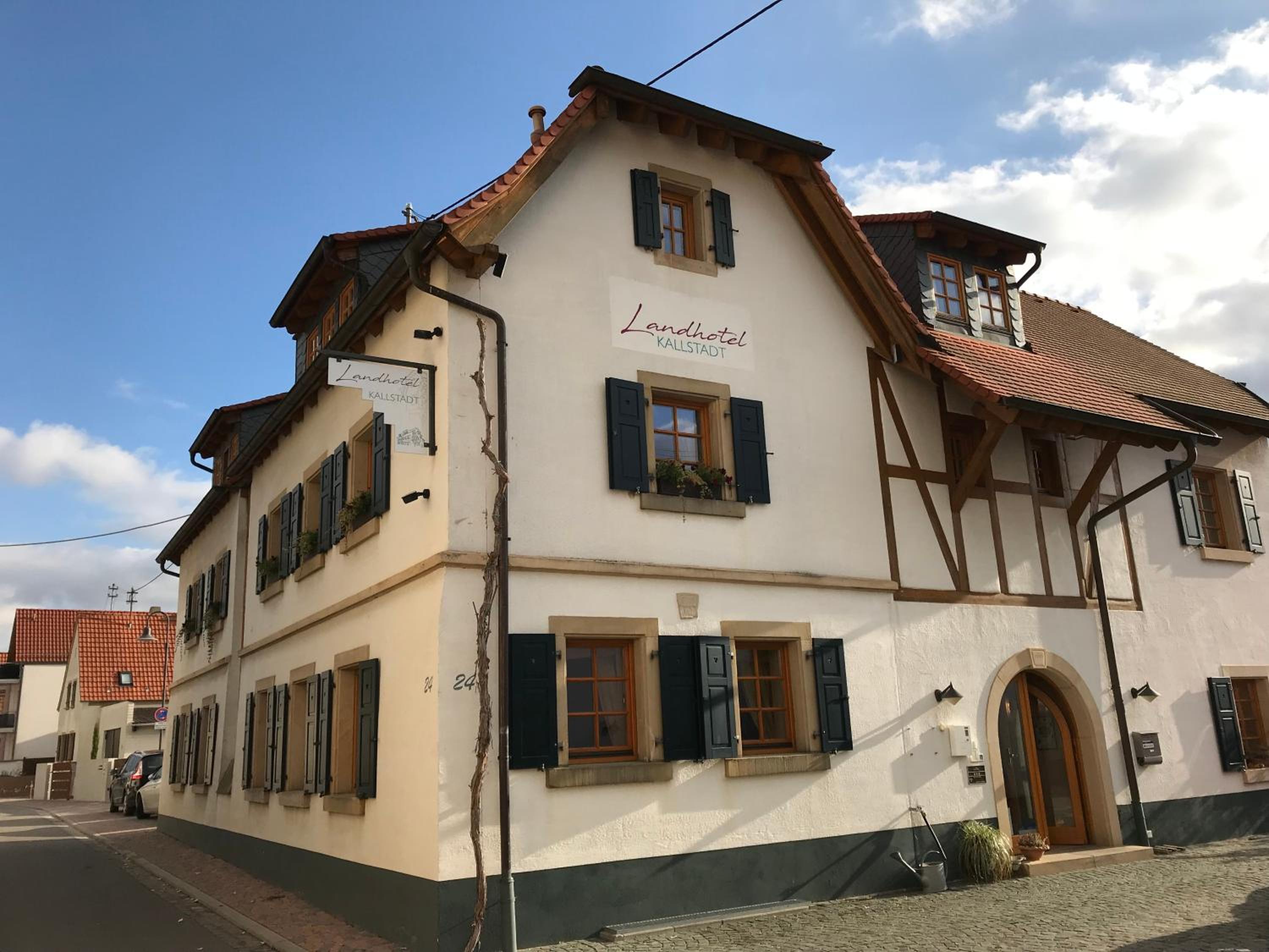 Landhotel Kallstadt, photo 20