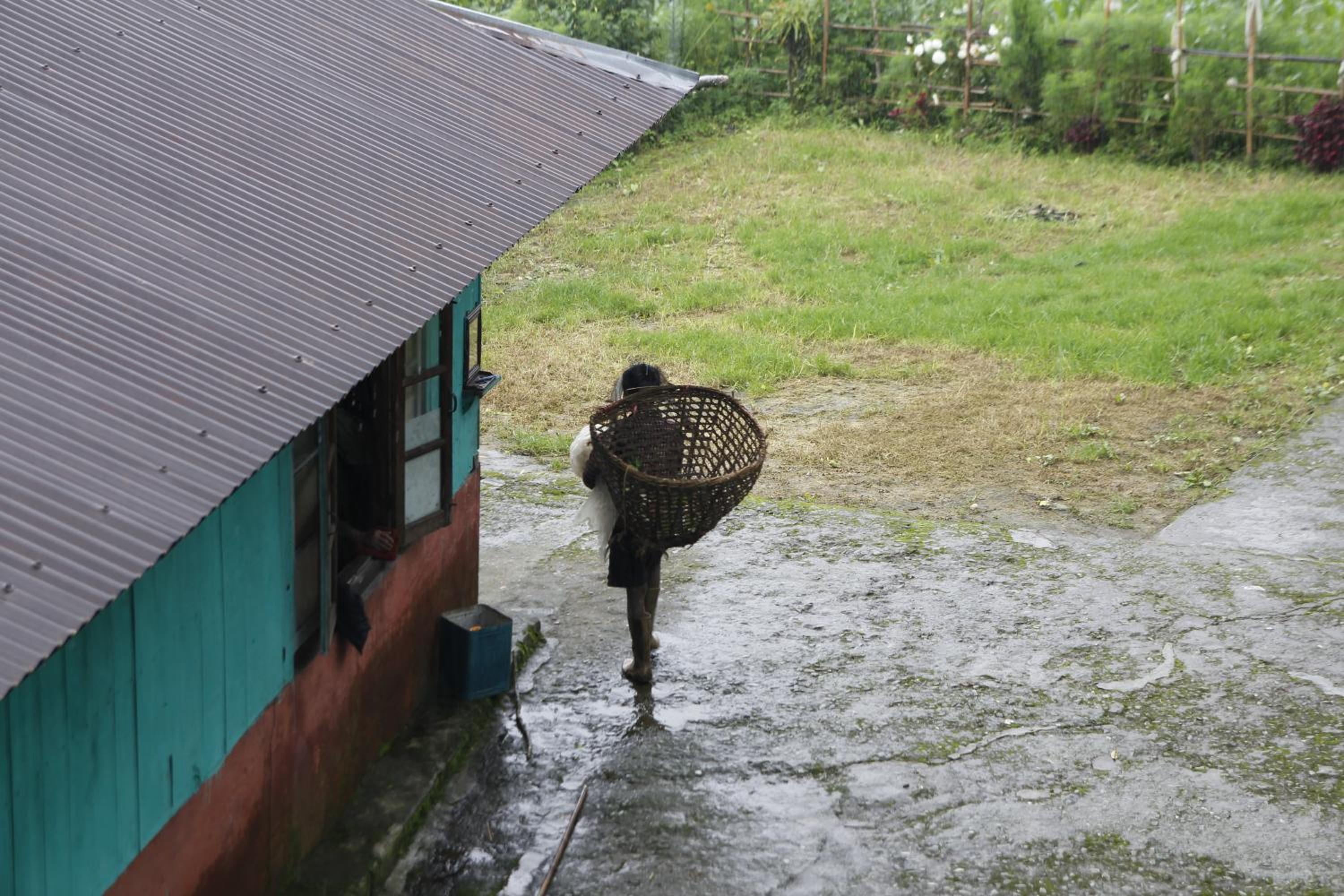 Borong Polok Village Homestay view 5