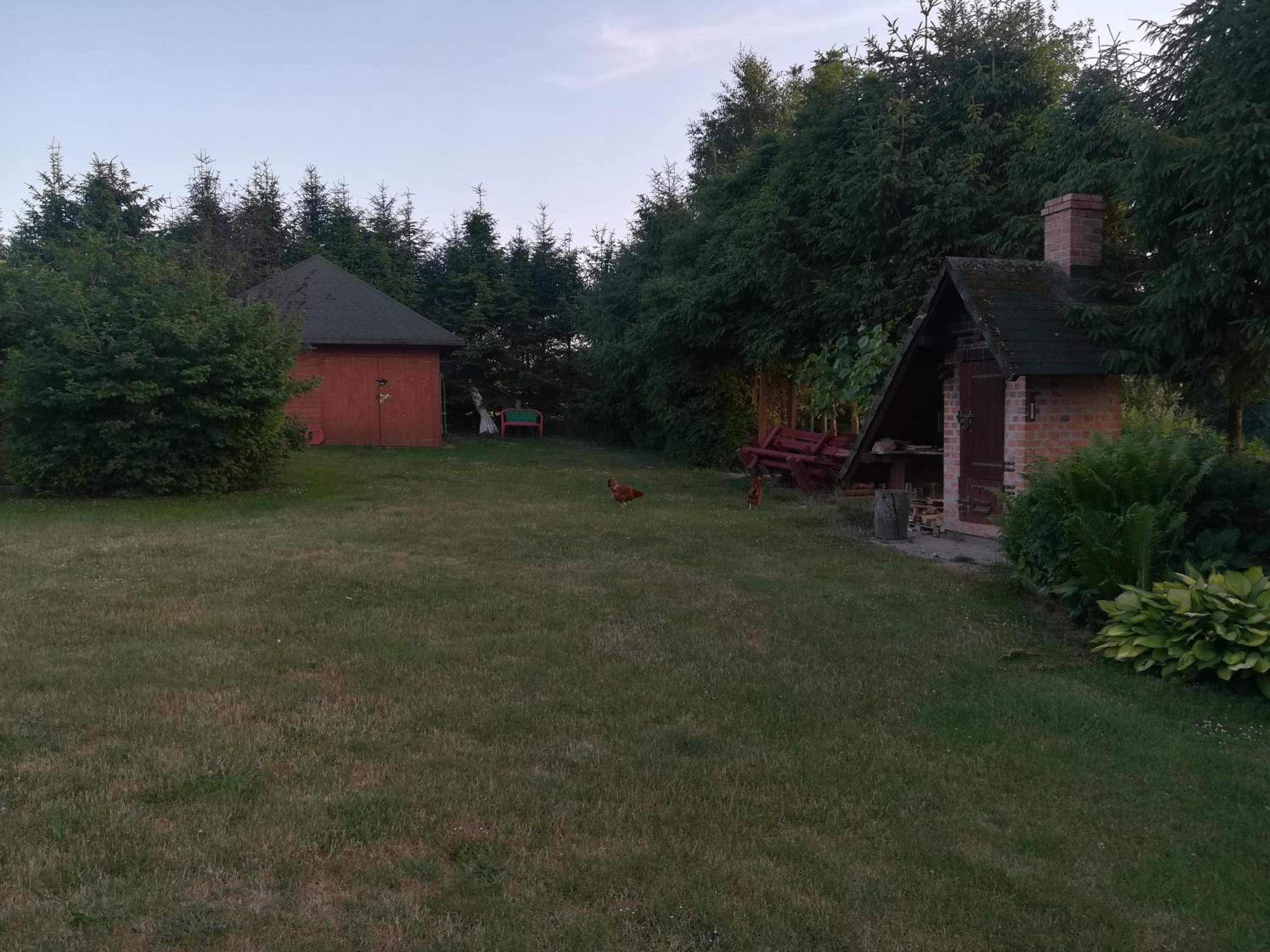 Photo 49