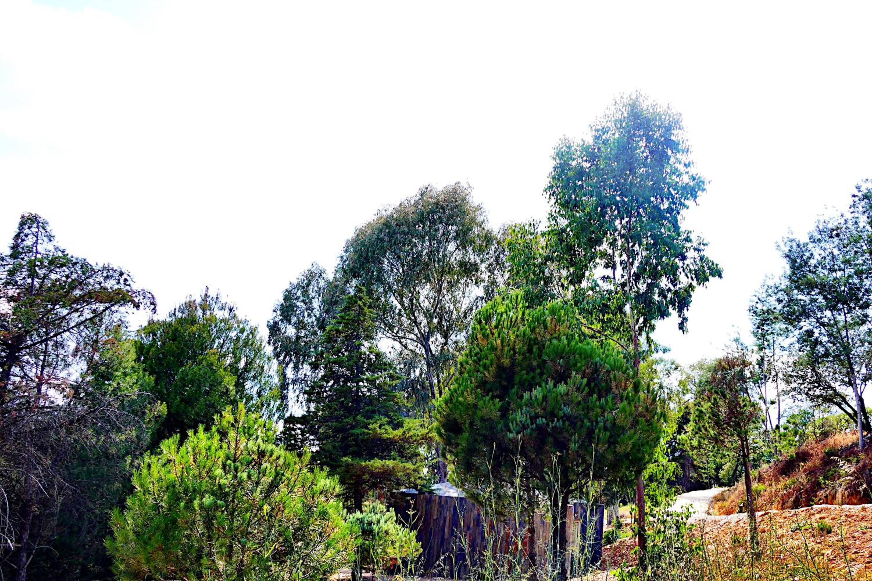 Photo 30