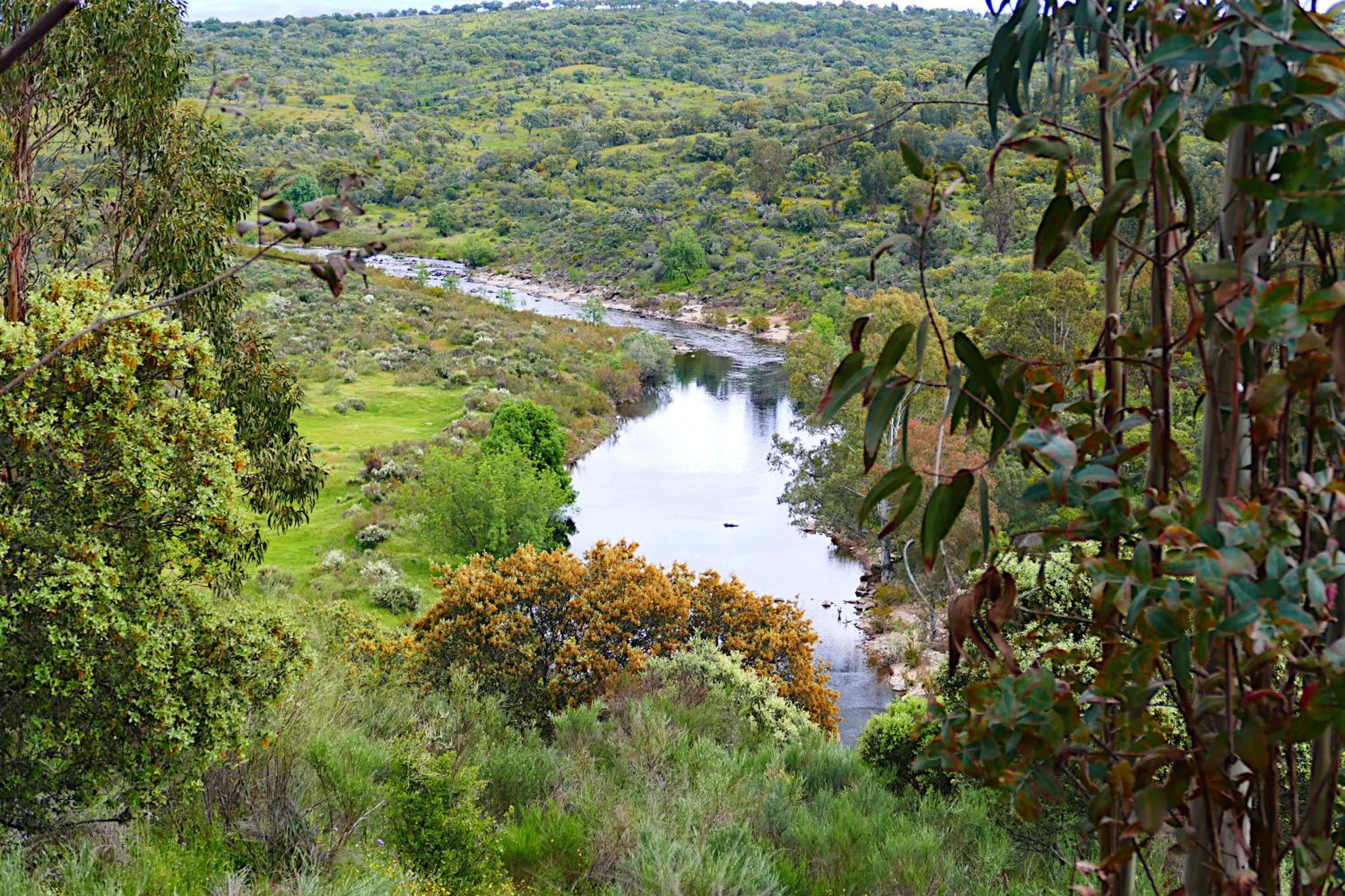 Photo 48