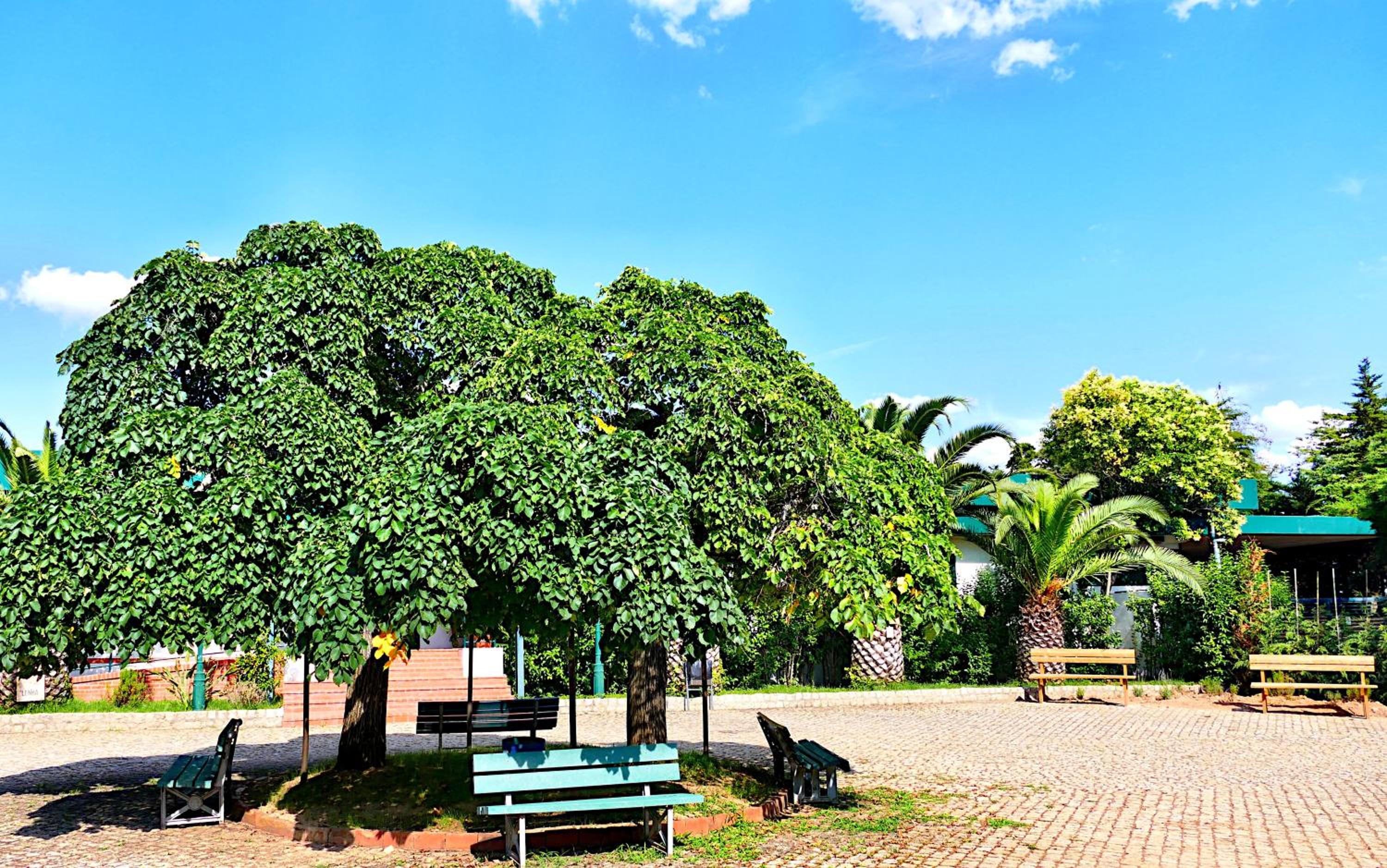 Photo 45