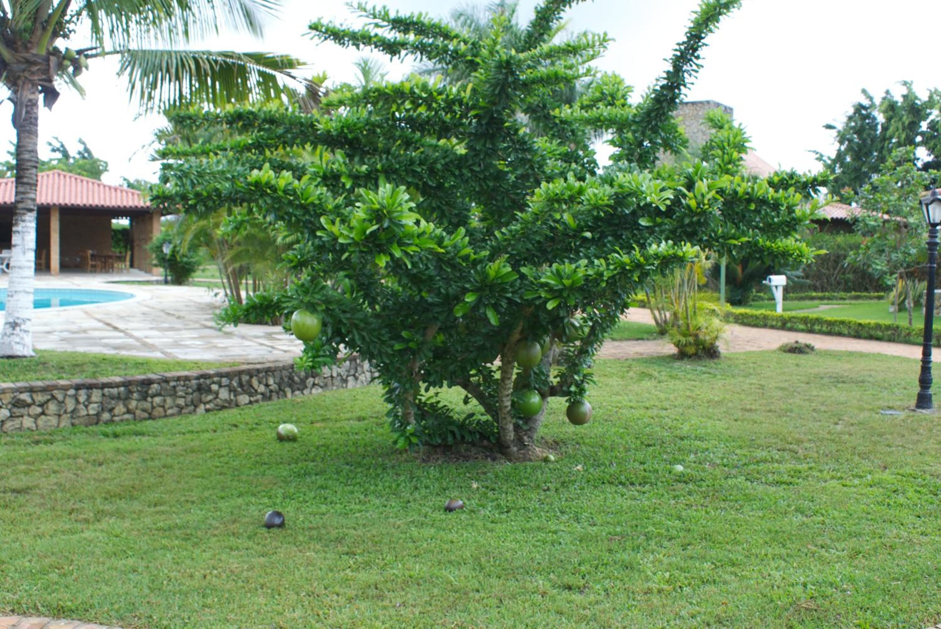 Photo 54