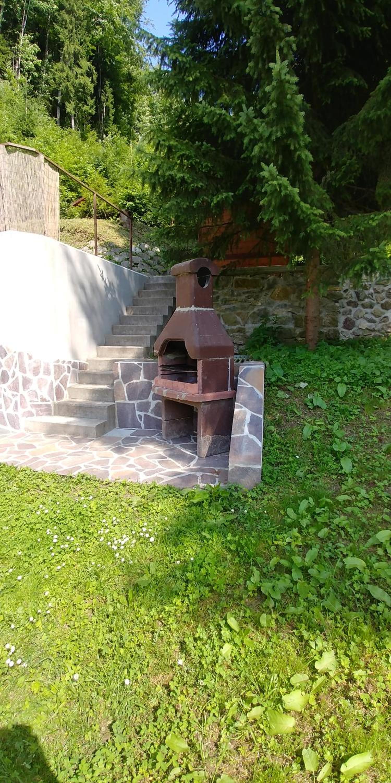 Photo 51