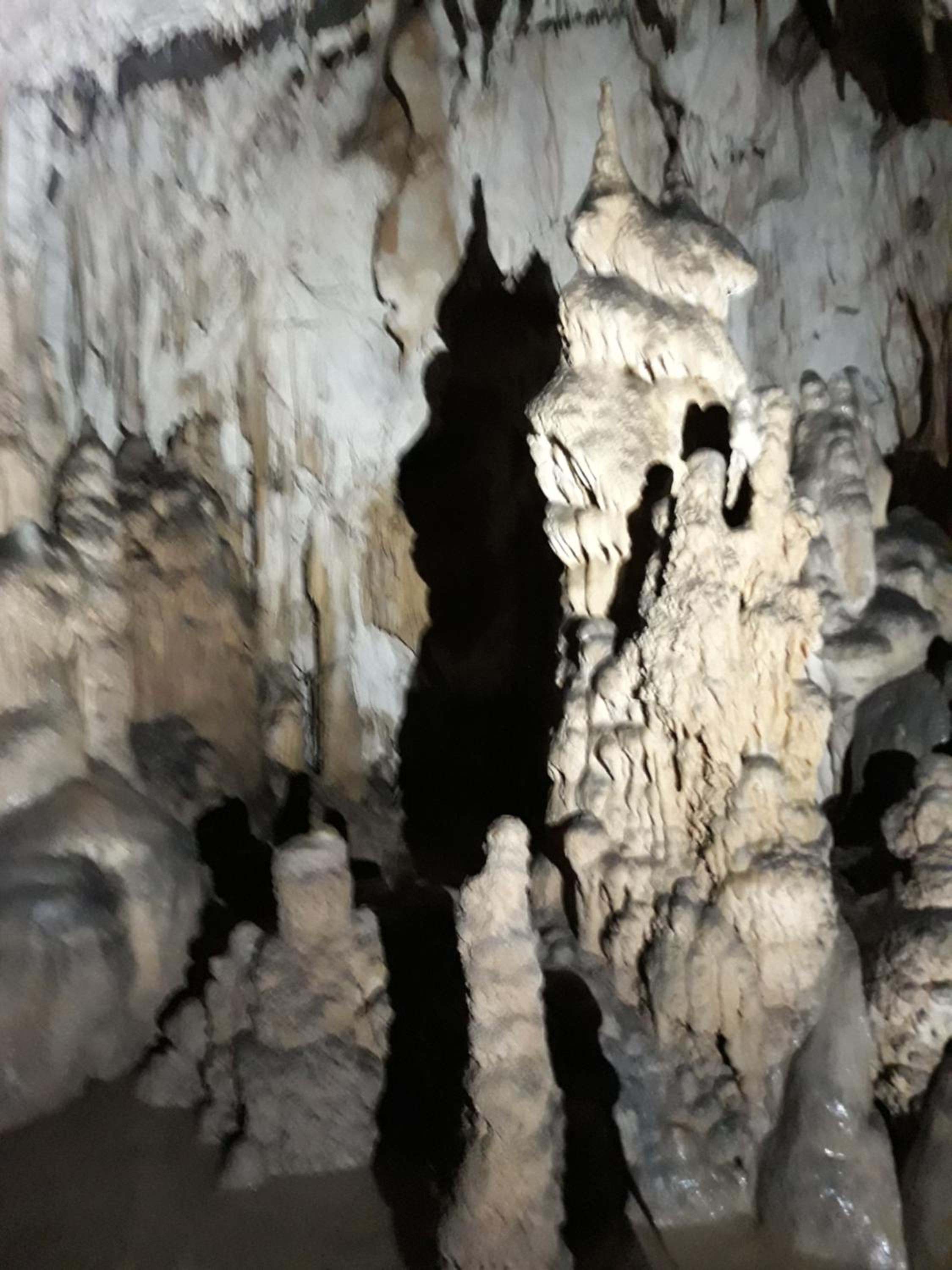 Pensiunea Piatra Graitoare view 2