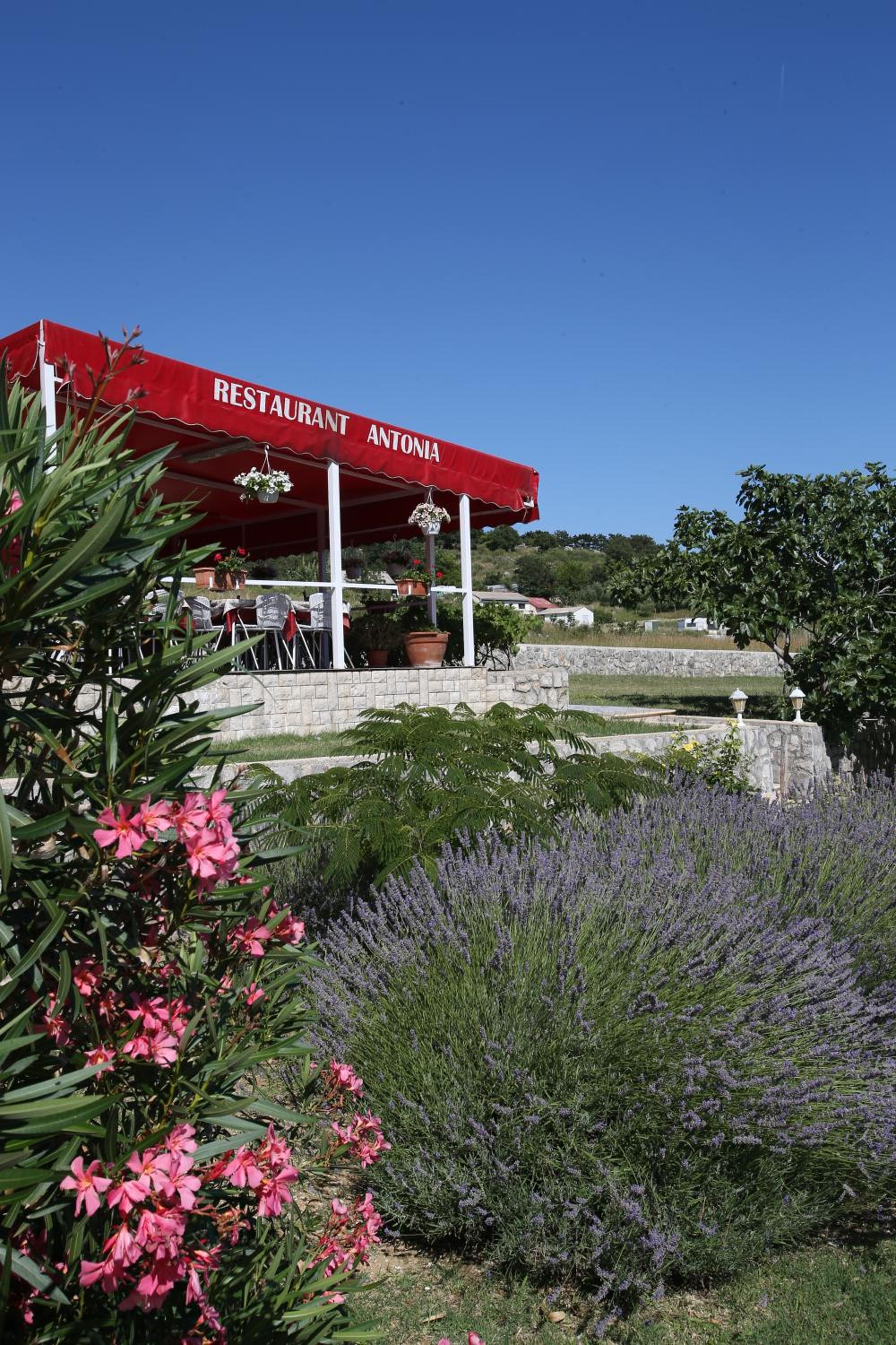 Pension Antonia