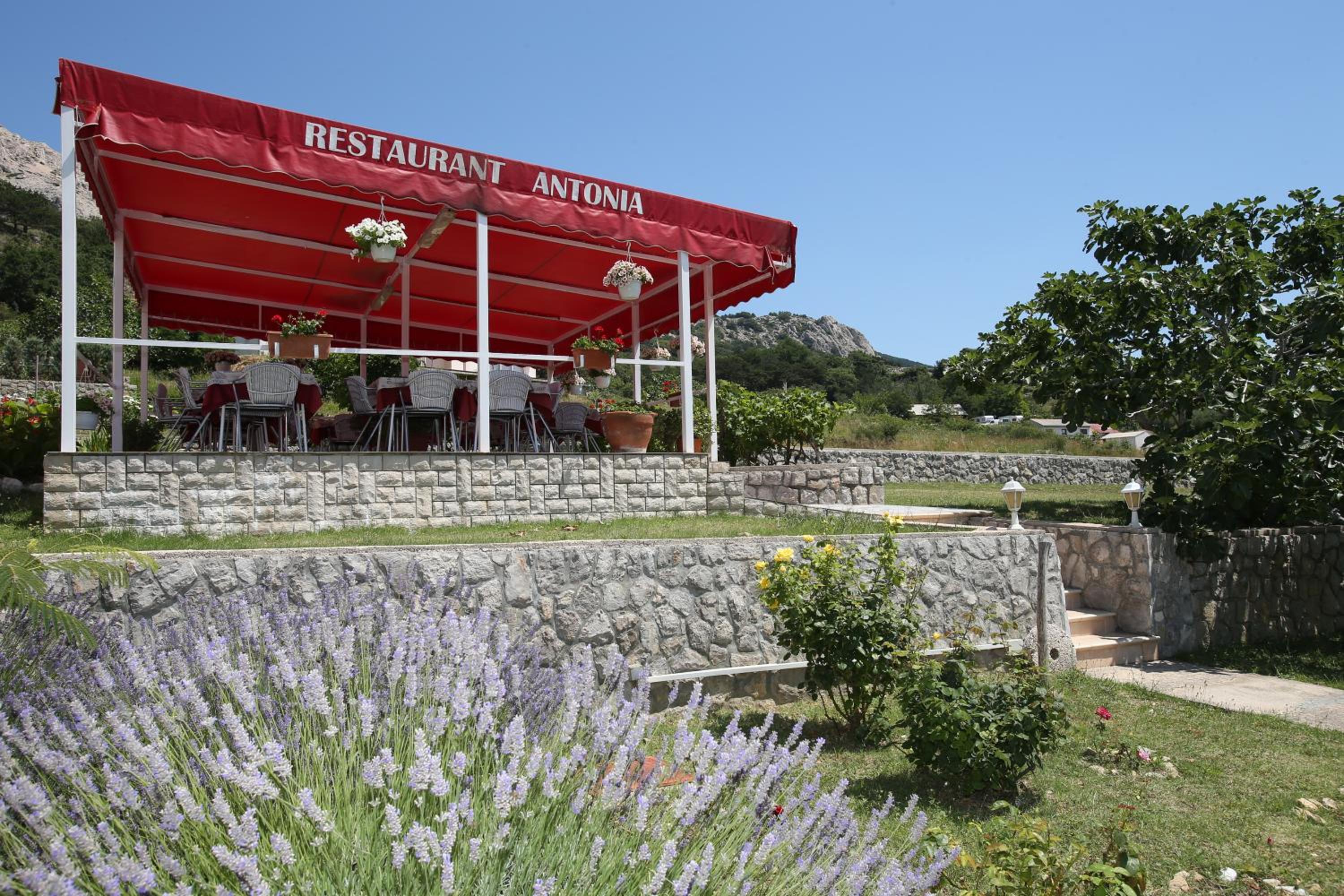 Pension Antonia