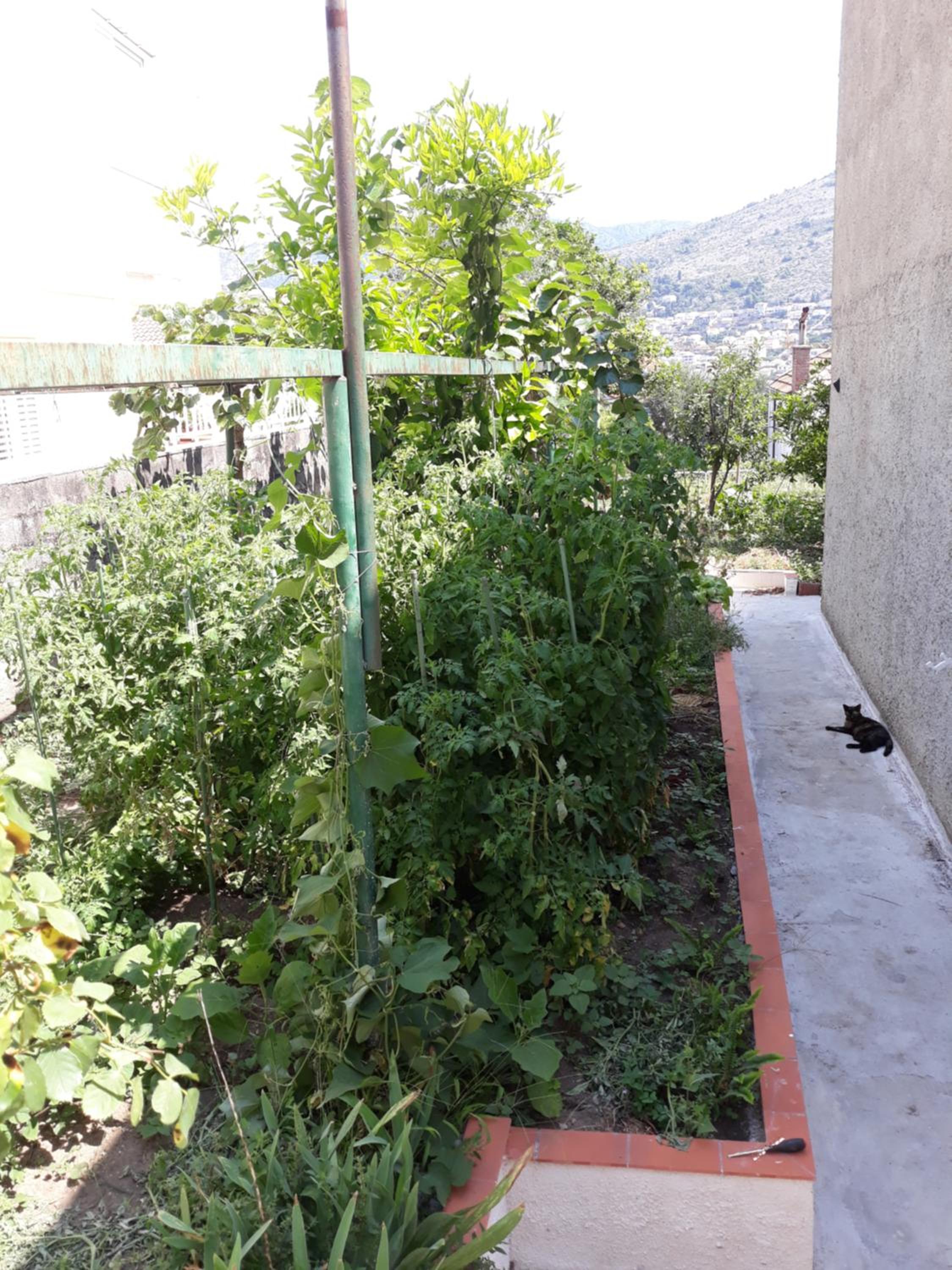 Studio Apartment Garden