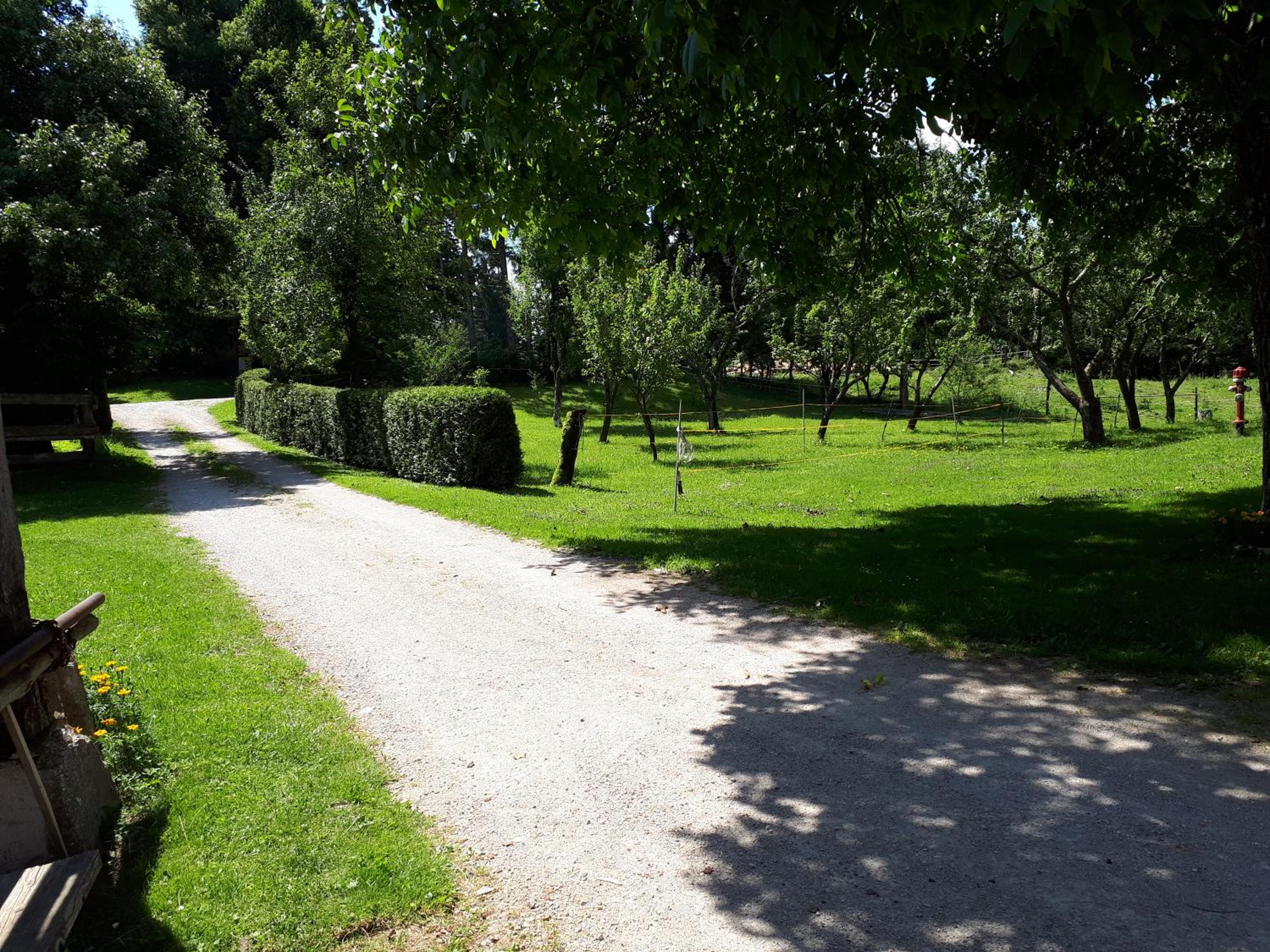 Tourist Farm Znidarjevi view 5