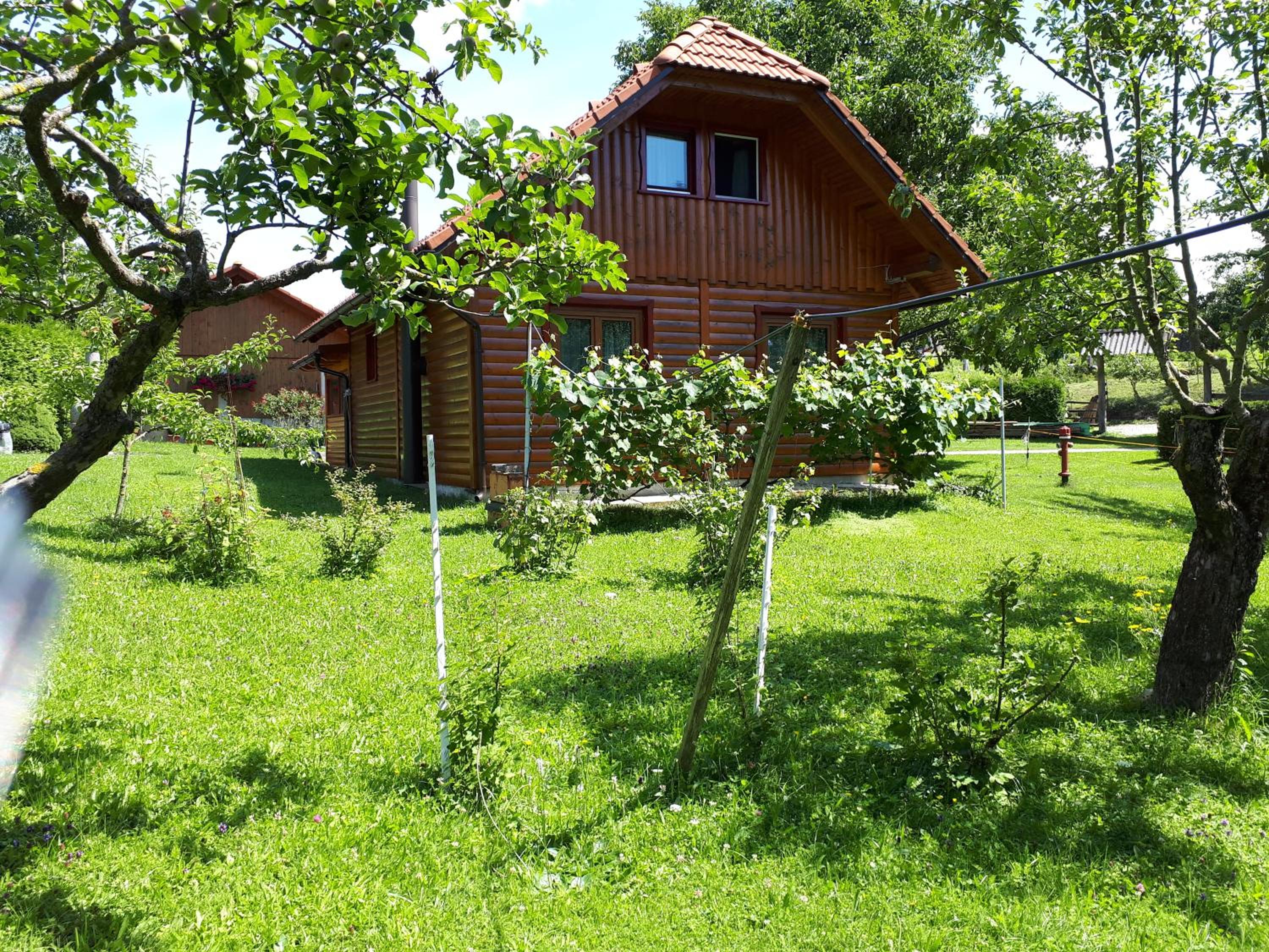 Photo 27