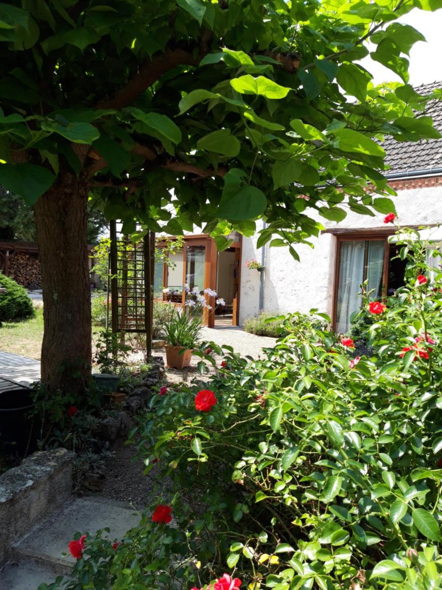 L'Orme Seul, Maison d'hôtes view 2