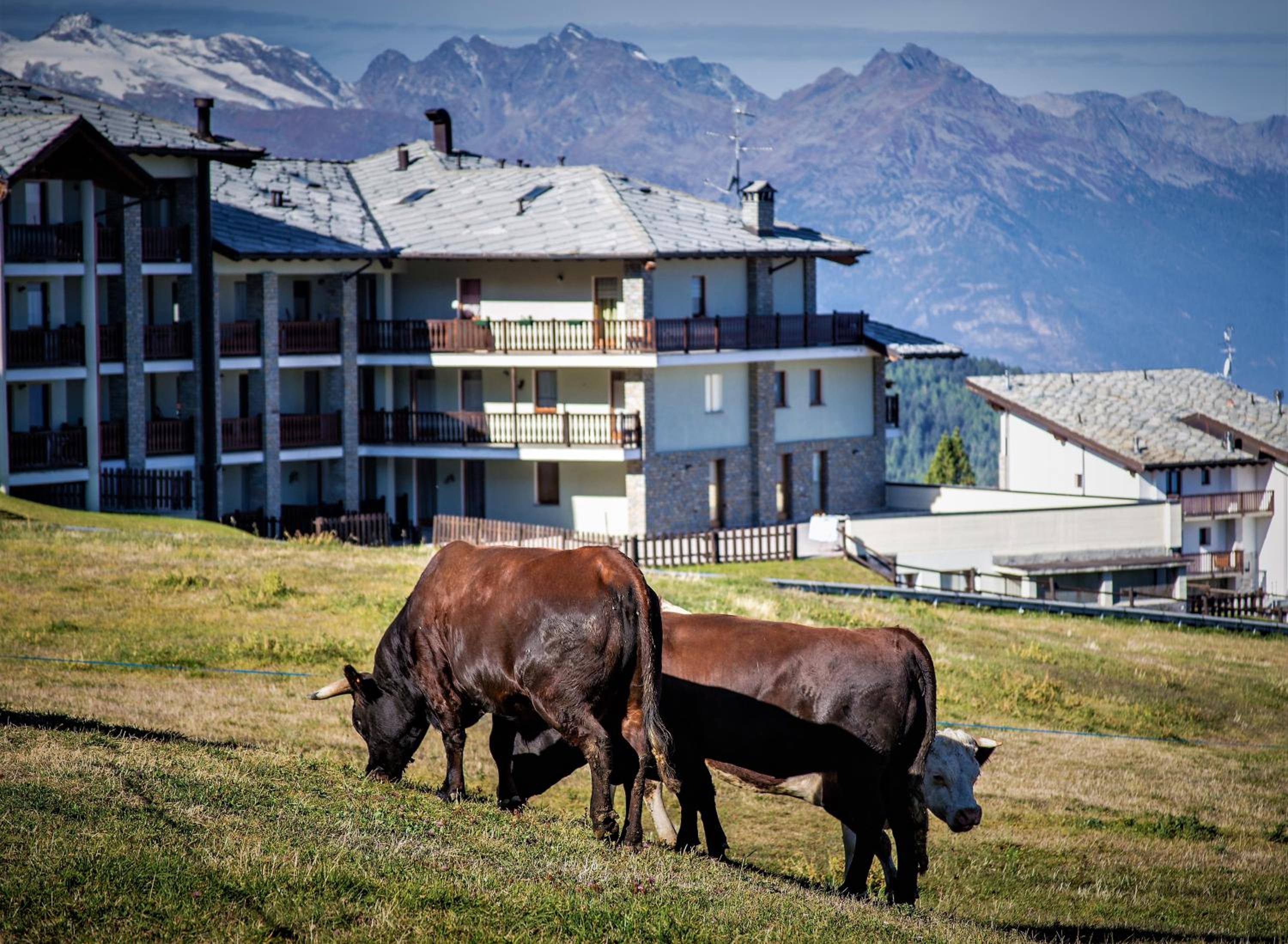 Appartamento Pila Bellevue view 4