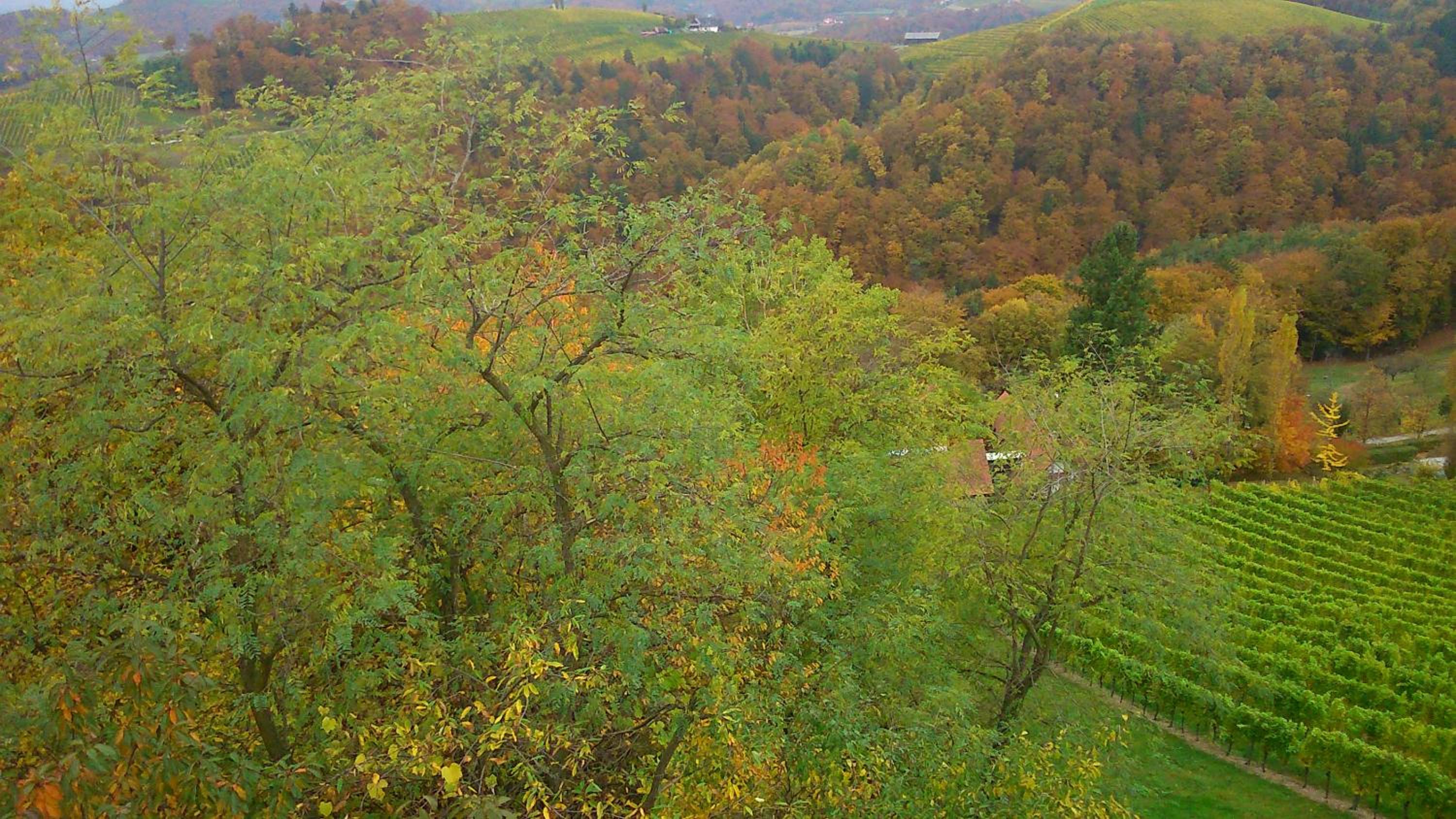 Apartmenthaus STYRIA
