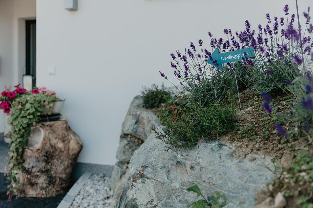 Appartements Almnest