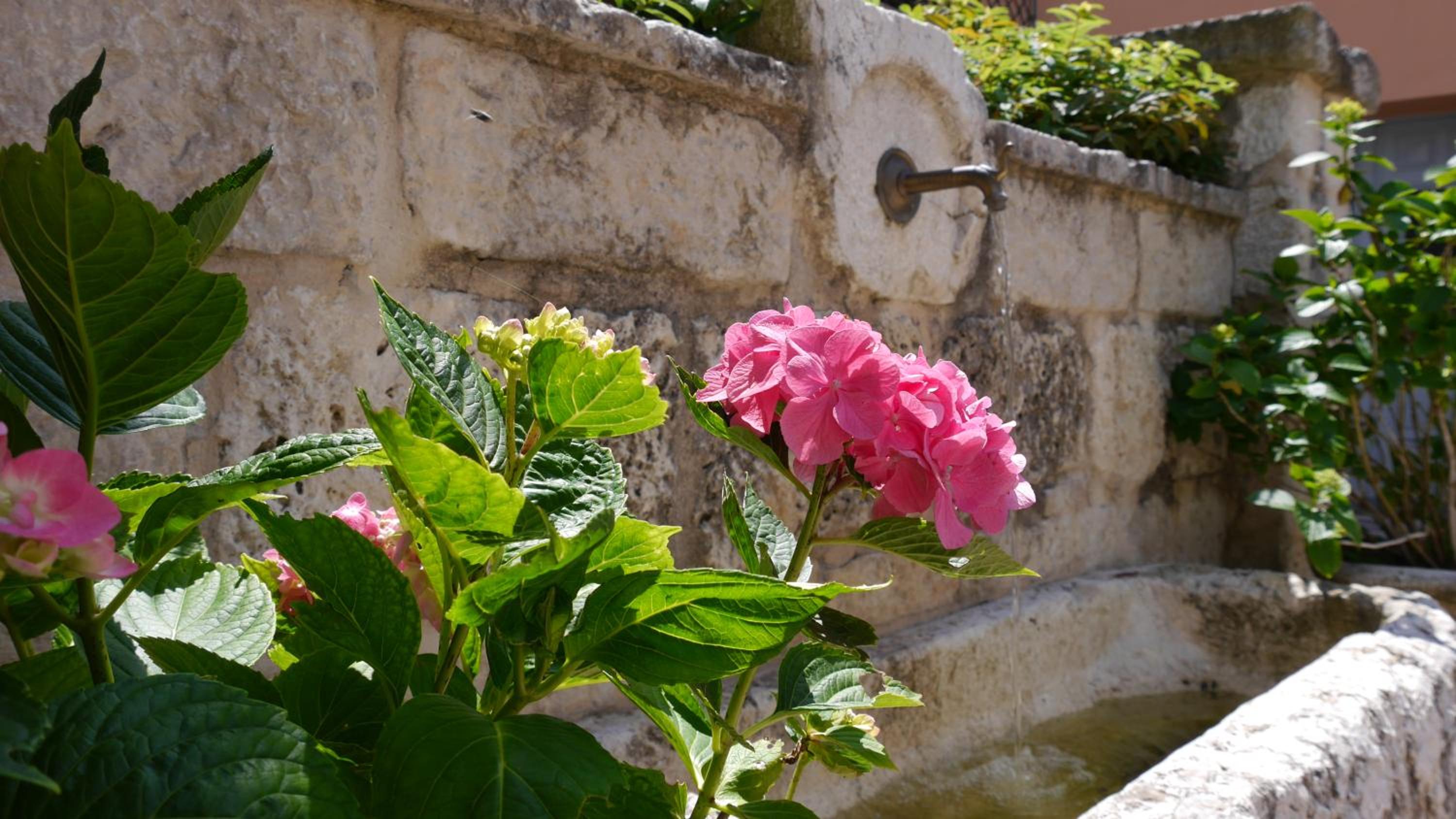 Fontana Vecchia view 5