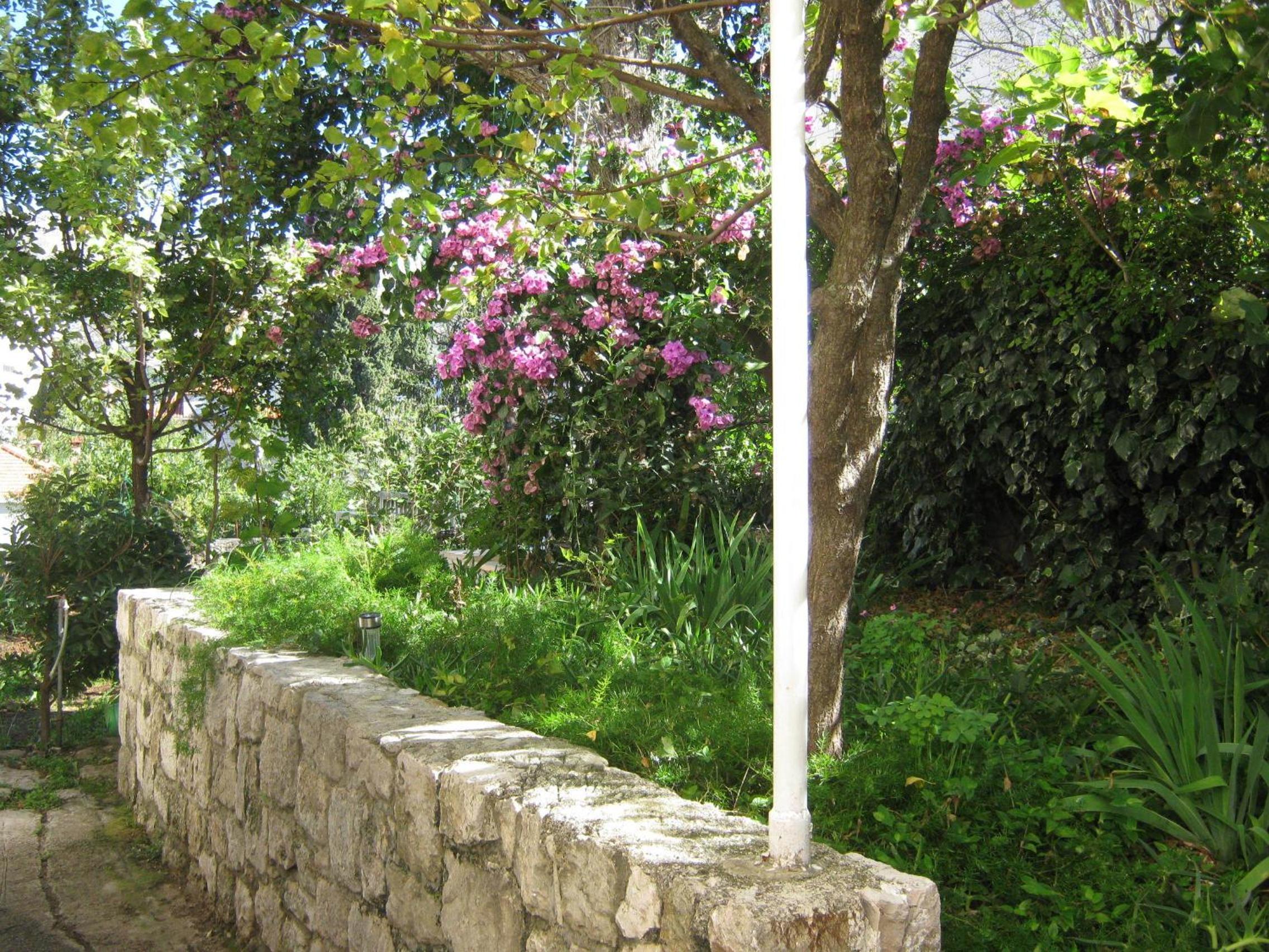 Apartments and Rooms Artemida