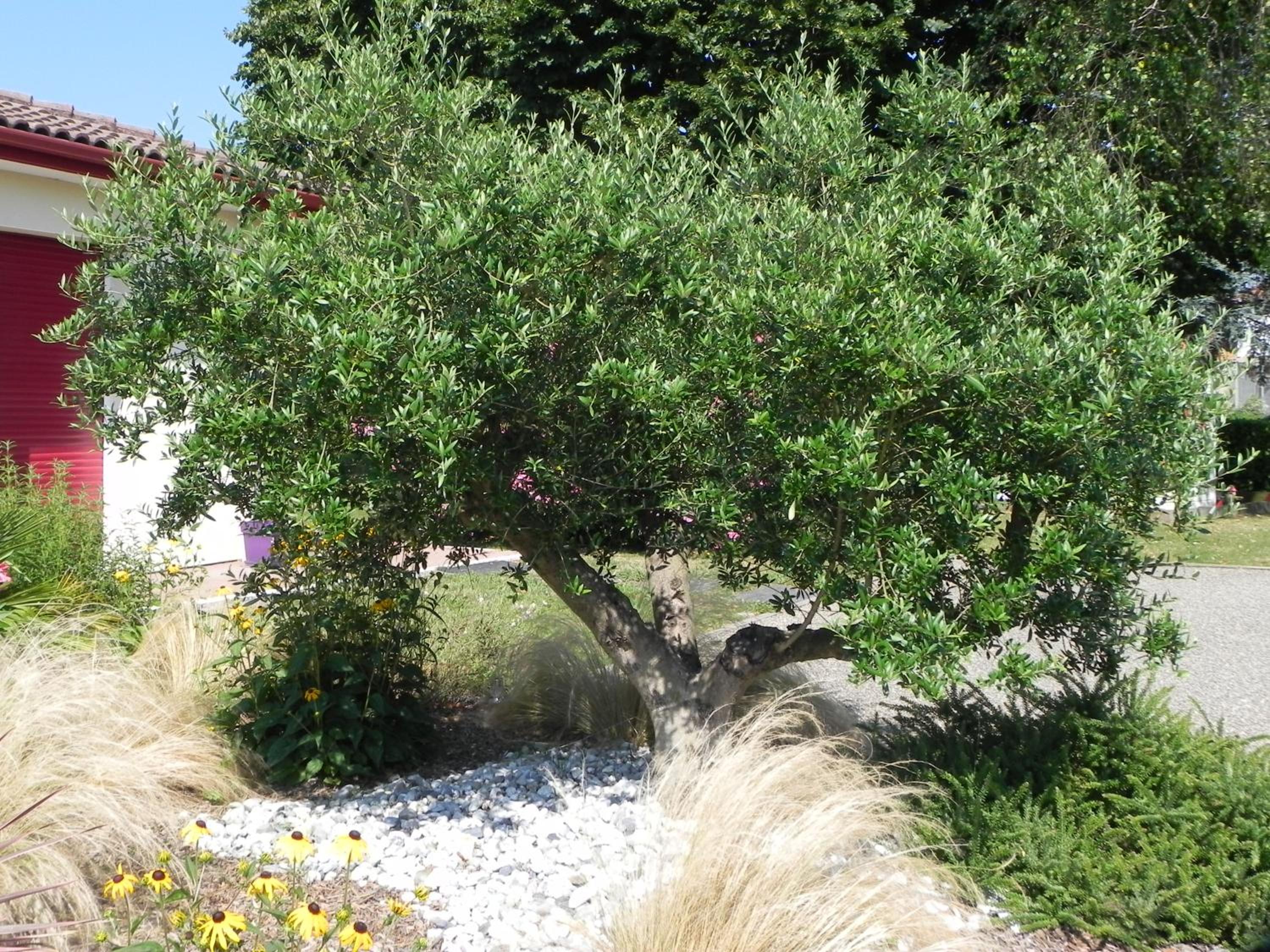 Photo 23