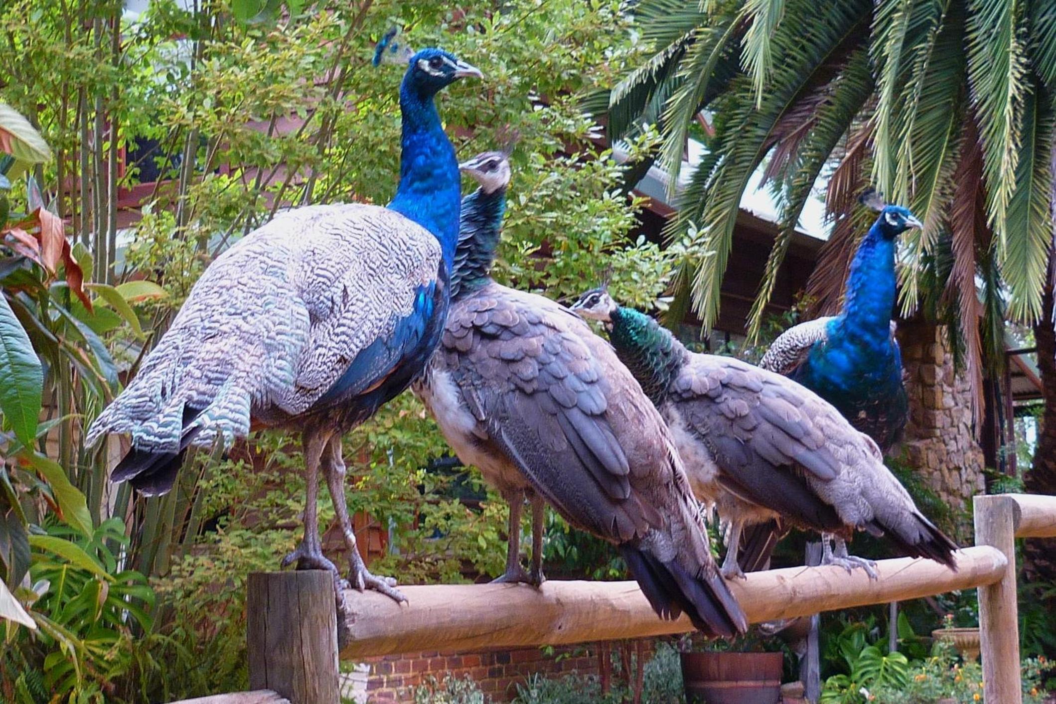 Margaret River Hideaway & Farmstay