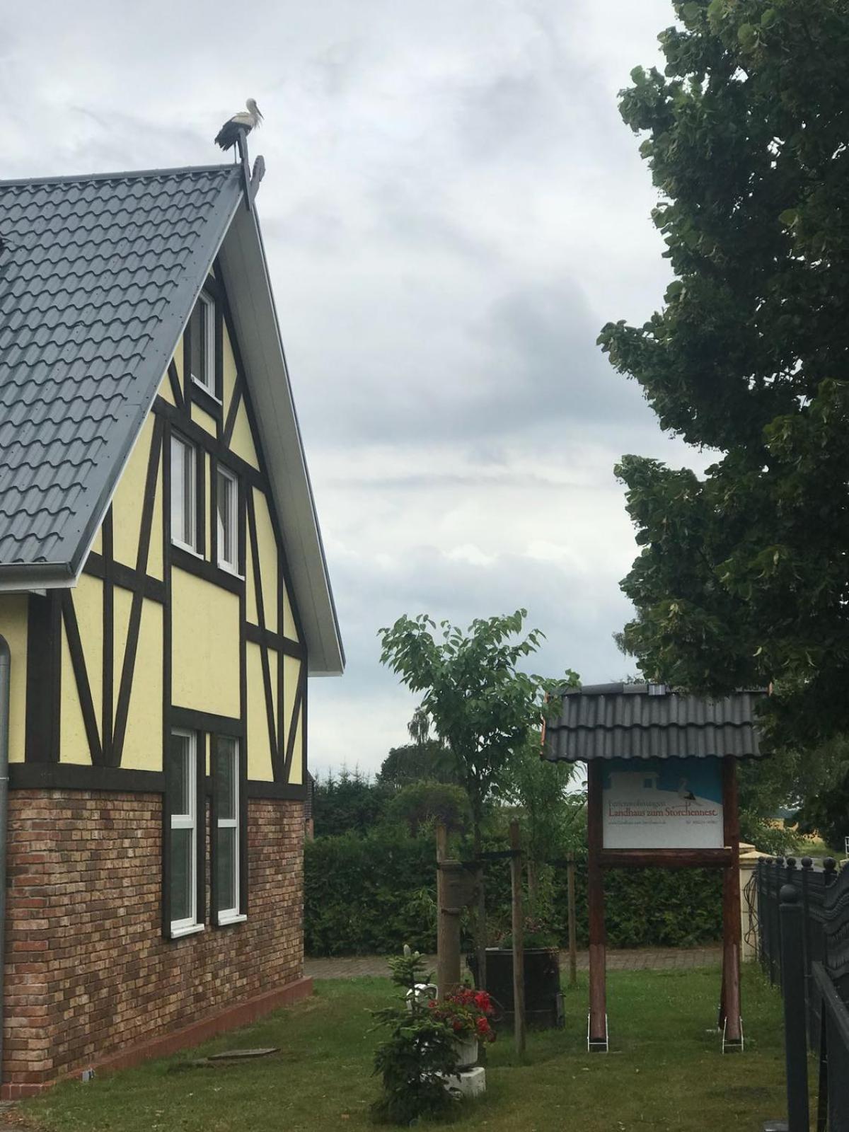 Landhaus zum Storchennest view 3
